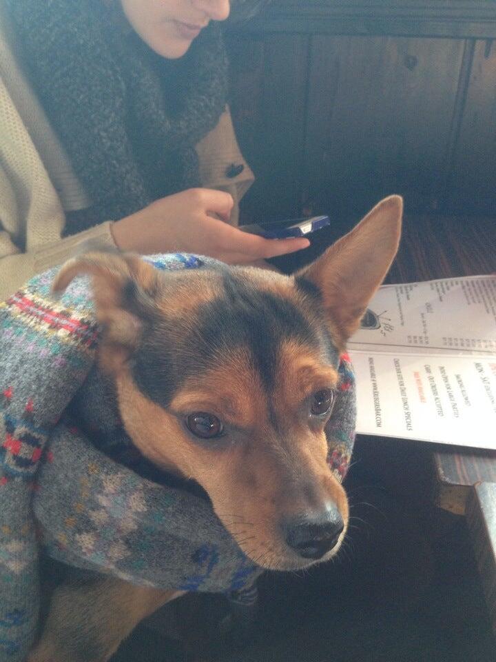 Photo credit: nextdoor