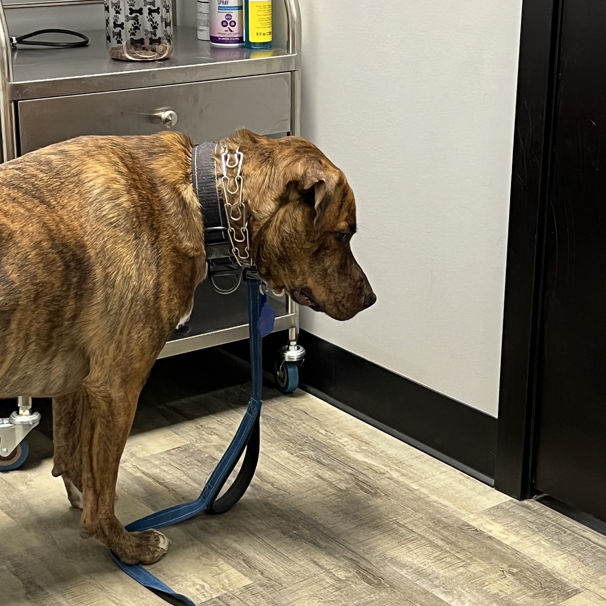 Cheap Pricks Valley Park