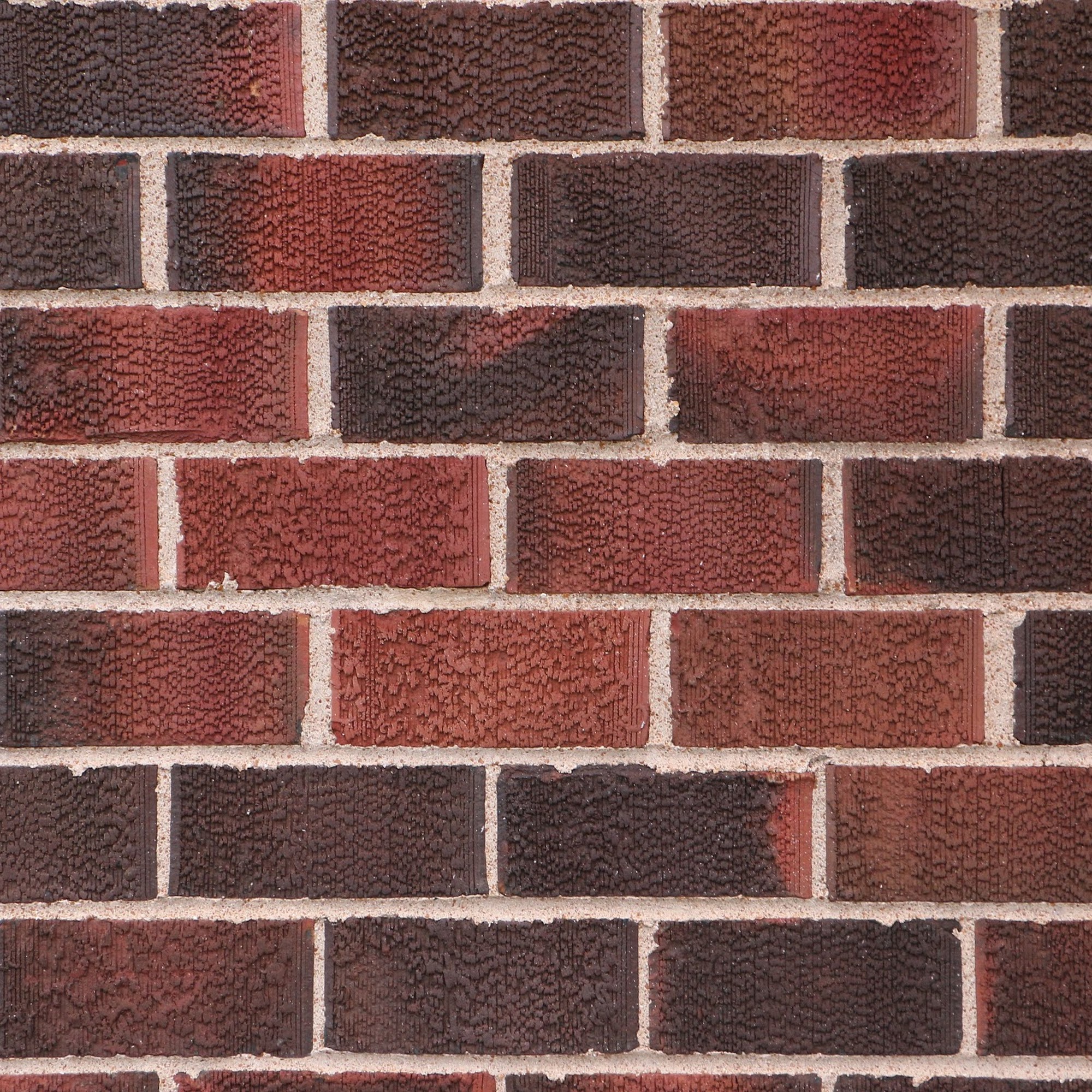 Homestead Veterinary Hospital: Dr. Mark Cassells Villa Ridge