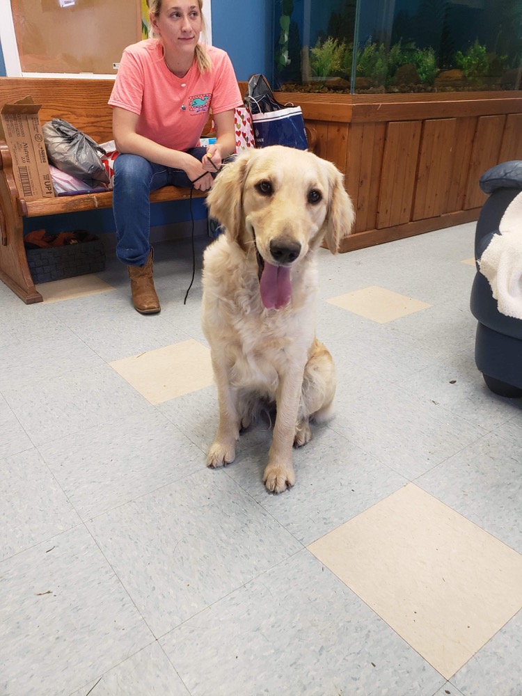 Old Drum Animal Shelter Warrensburg