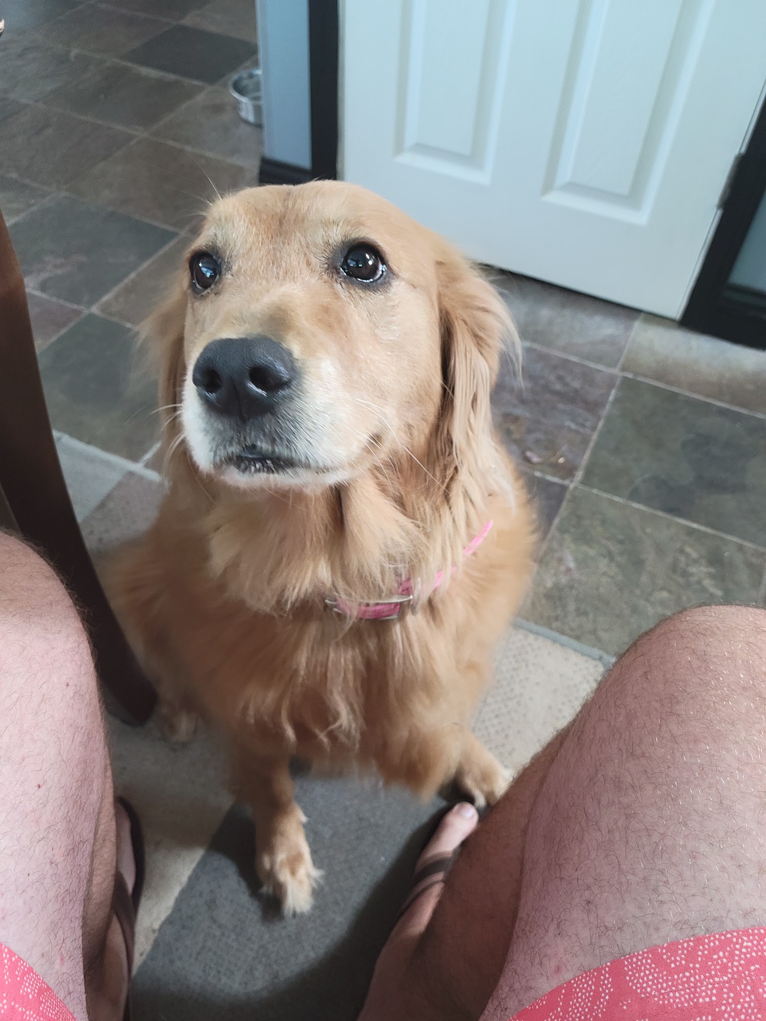 Warrenton Vet Clinic Warrenton