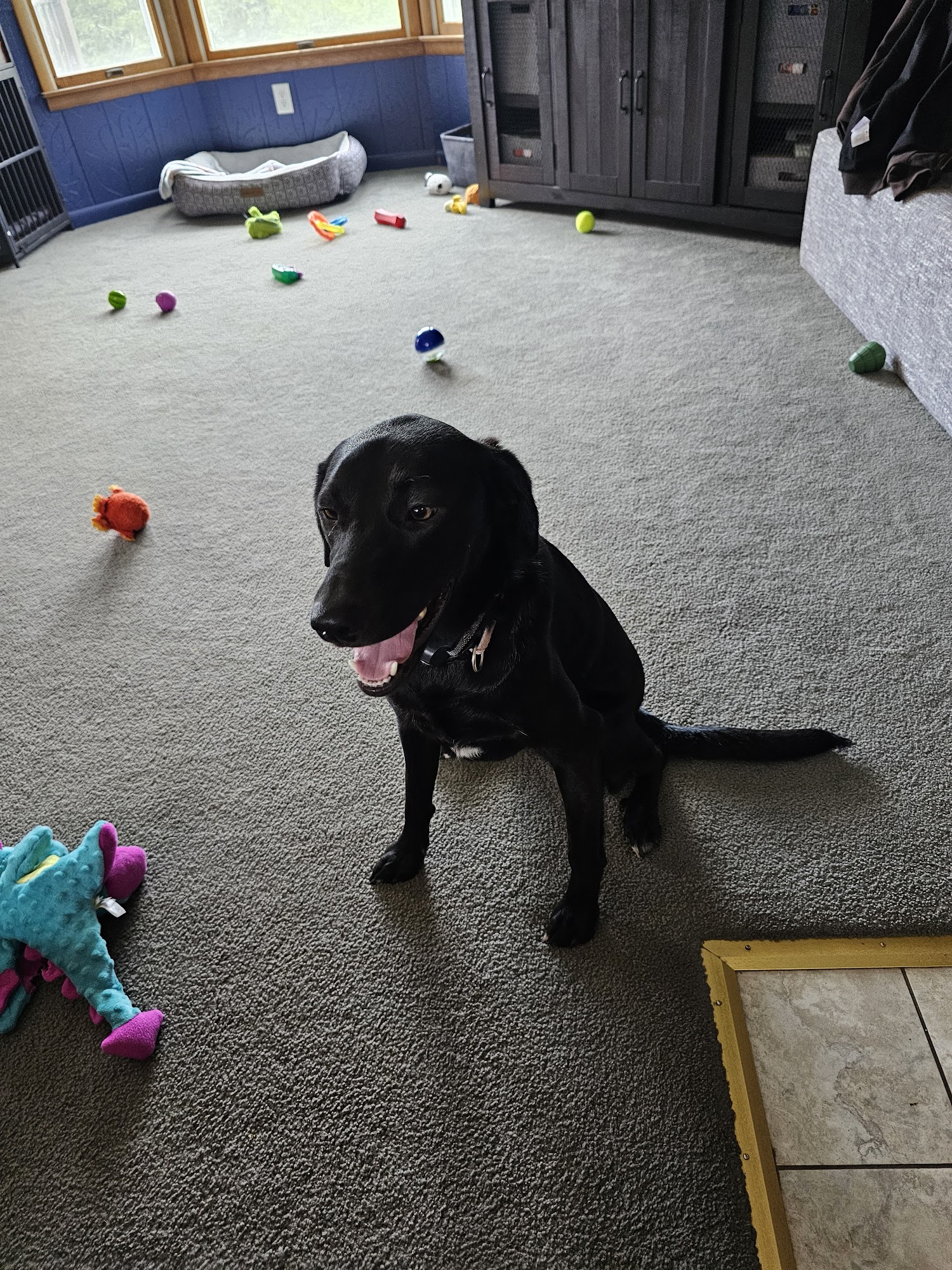 Franklin County Animal Medical Center Washington