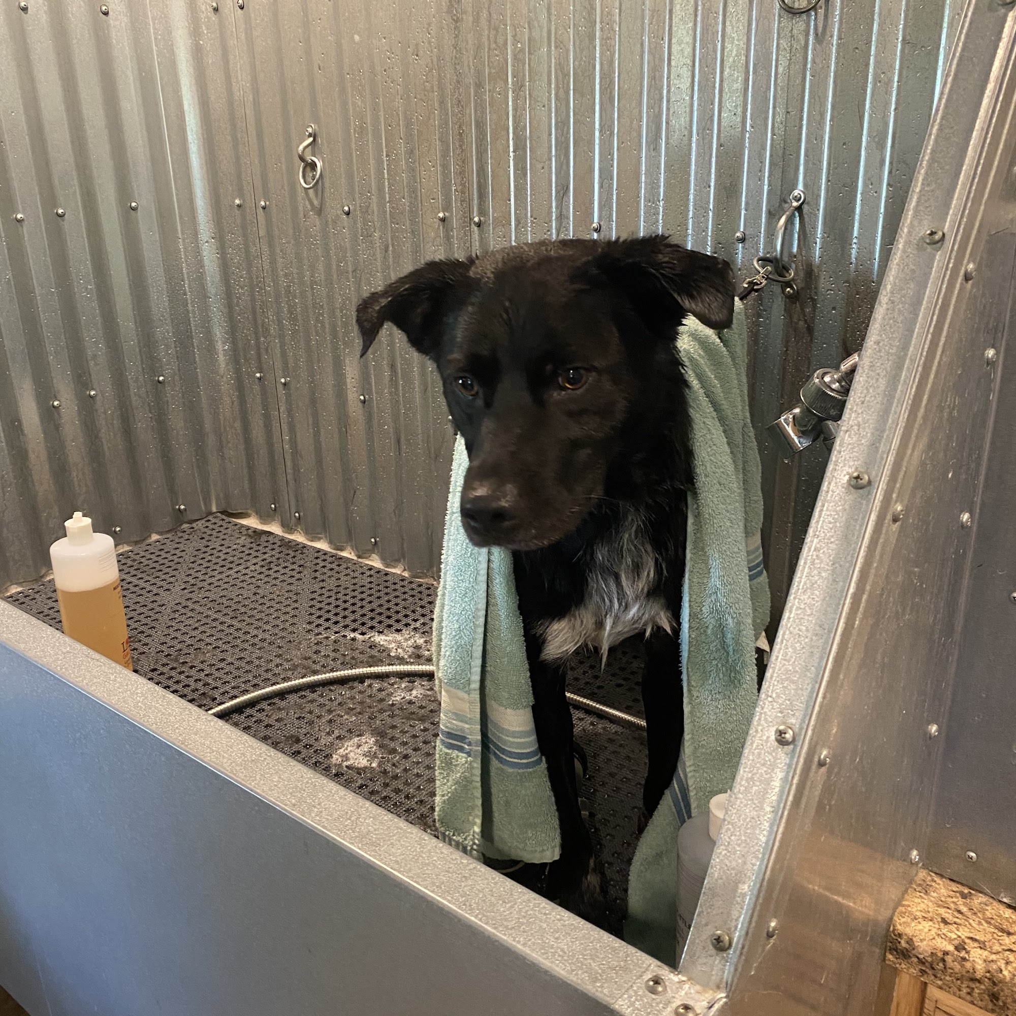 Old Town Pet llc Waynesville