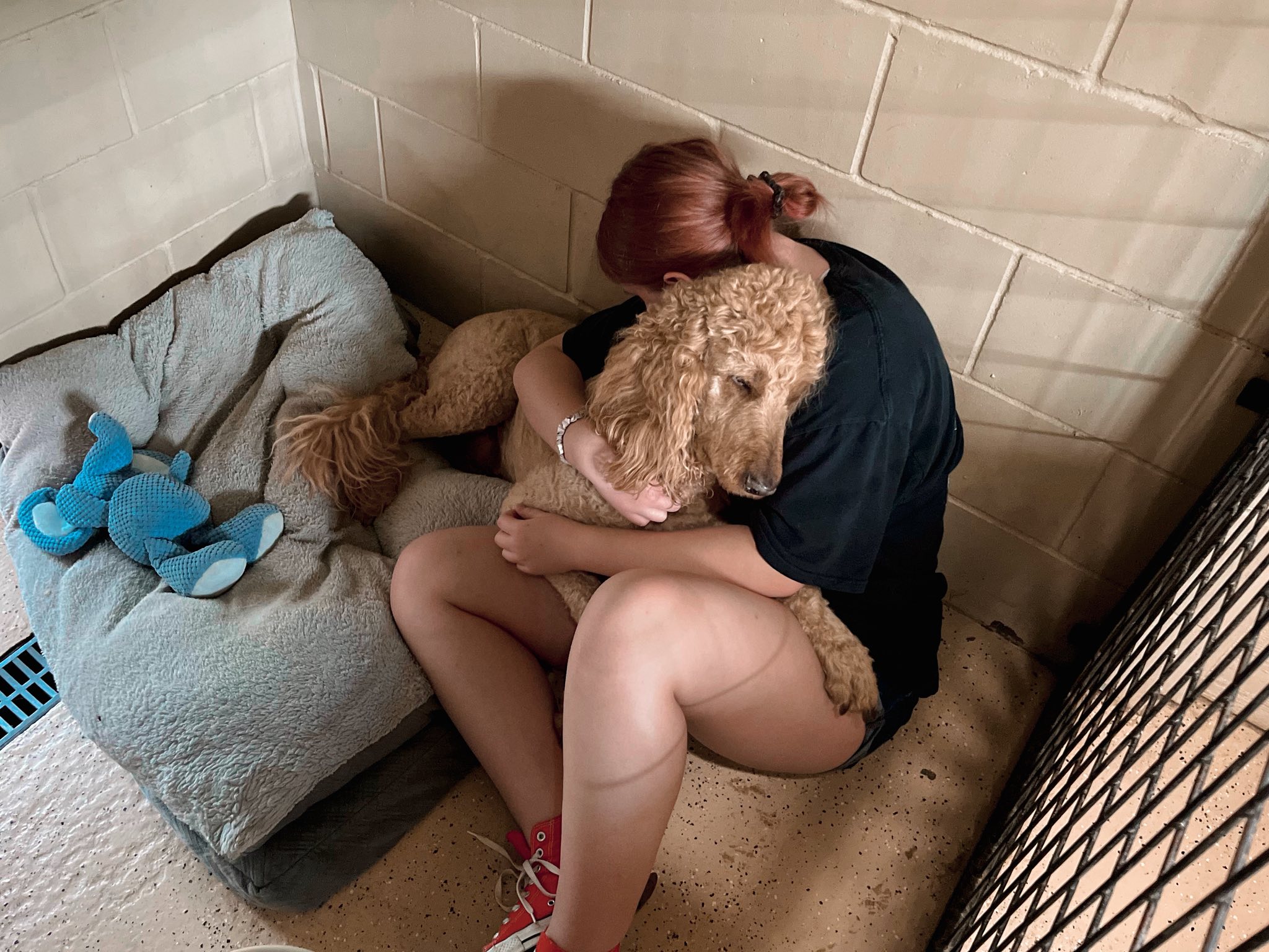 Old Town Pet llc Waynesville