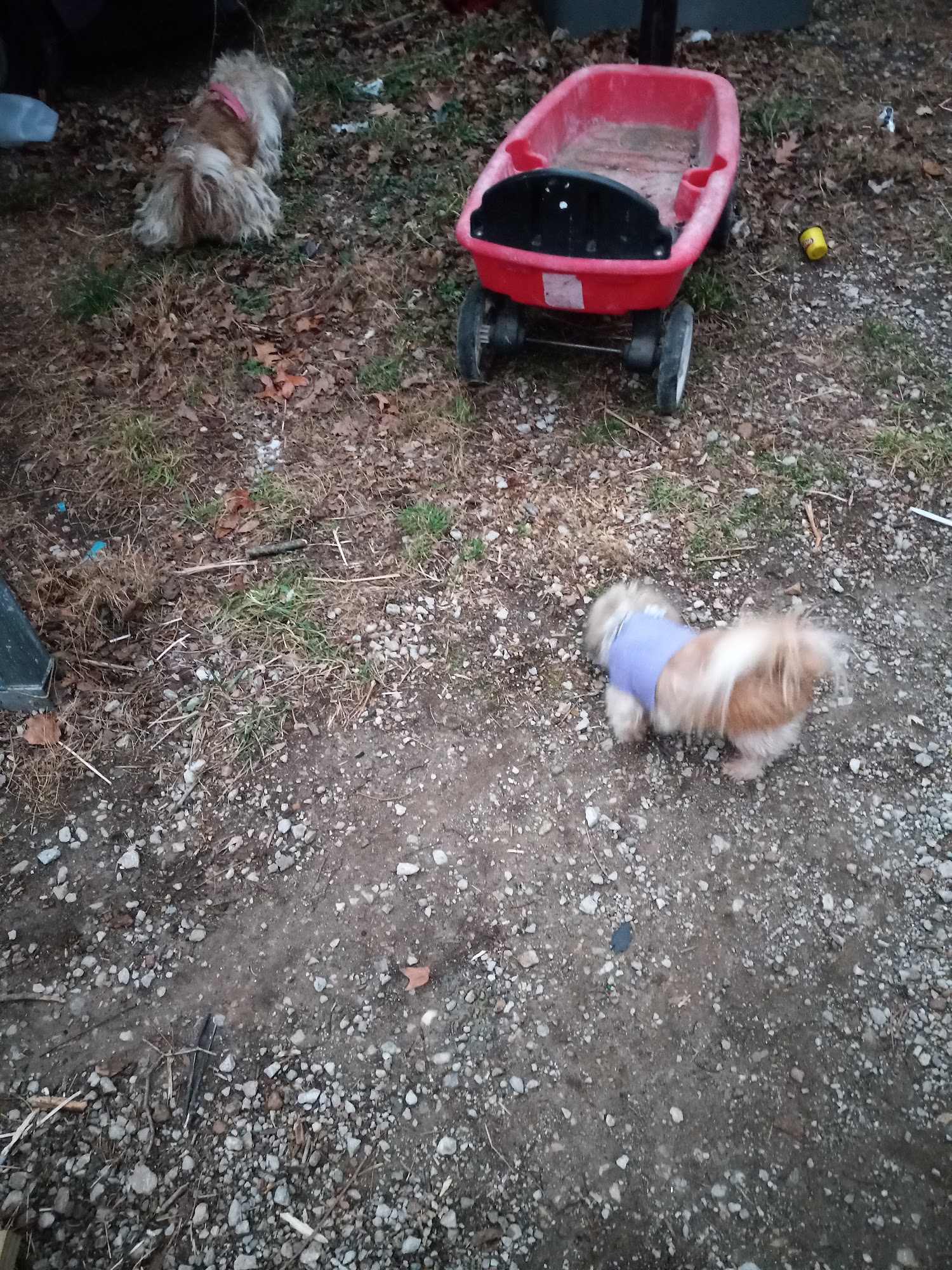 Country Care Clinic Webb City