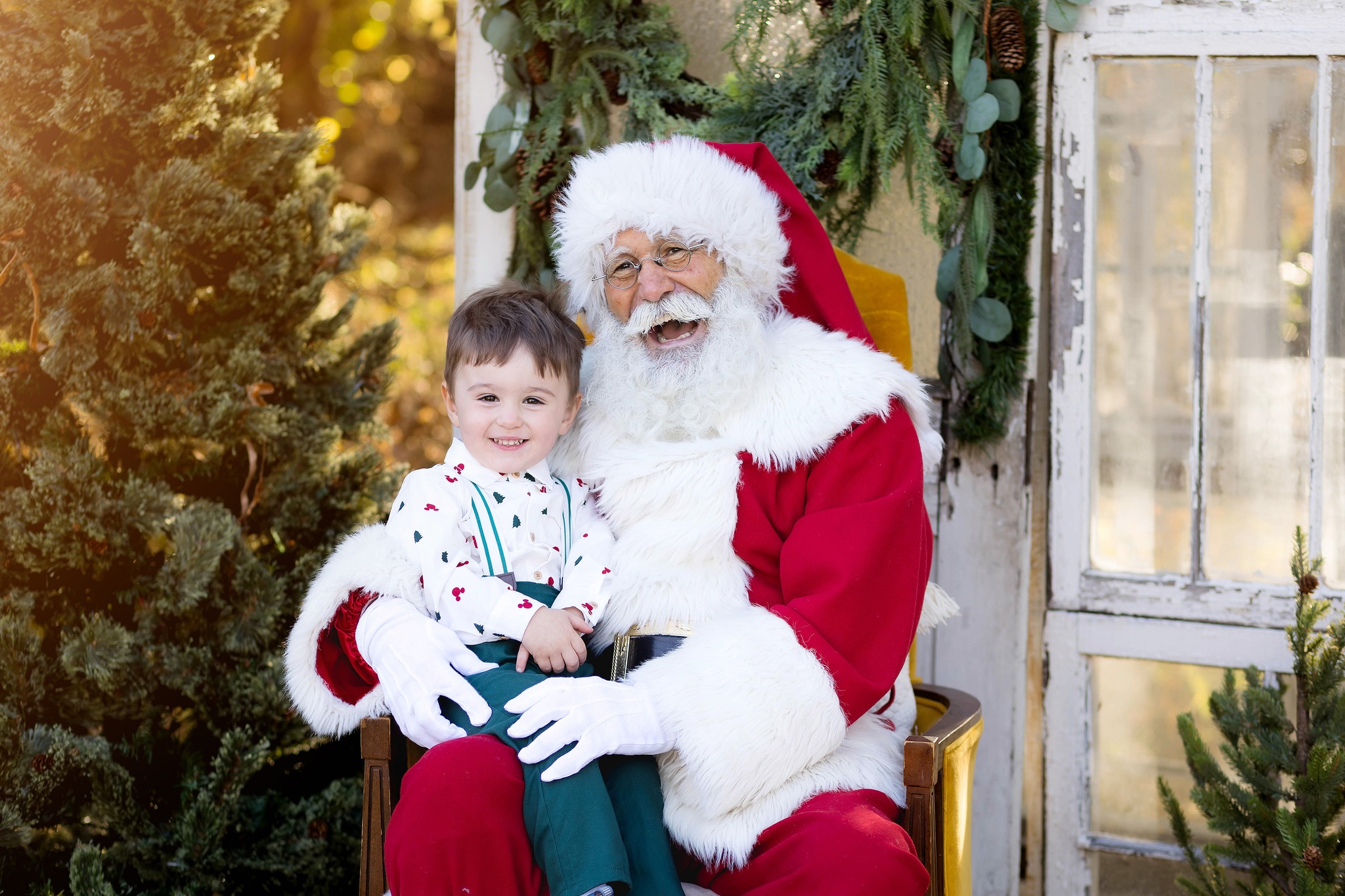 Focused Memories Photography by Mandy 1129 Meadow View Dr #3309, Webb City Missouri 64870