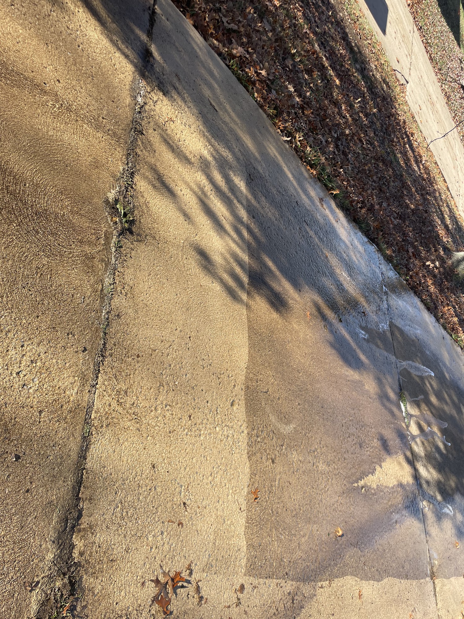 LT's Pressure Washing LLC