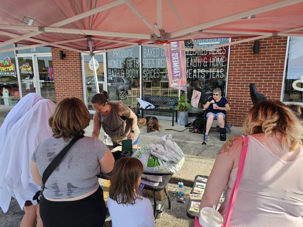 B. Y. O. D. Self-Service Dog Wash LLC West Plains