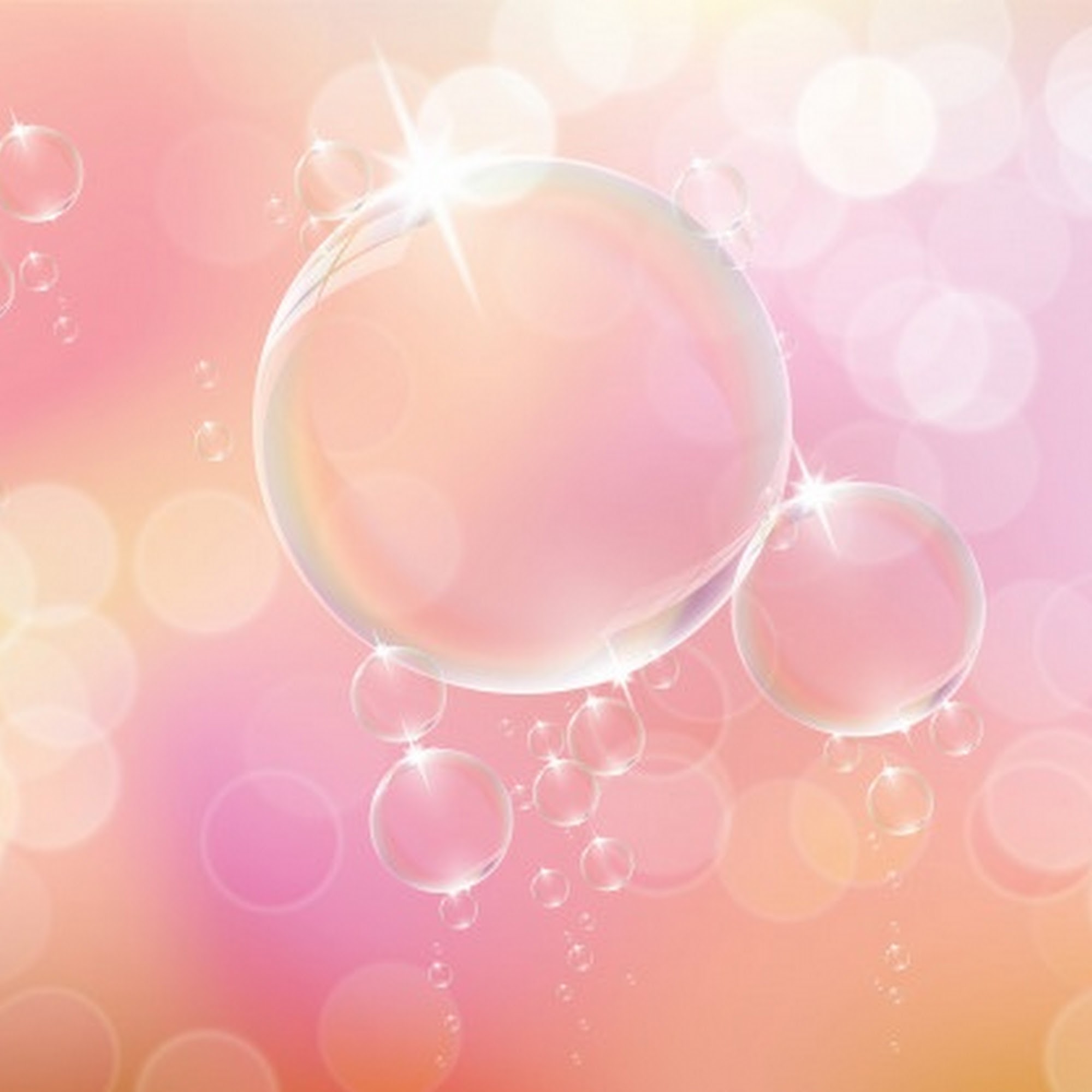 B. Y. O. D. Self-Service Dog Wash LLC West Plains