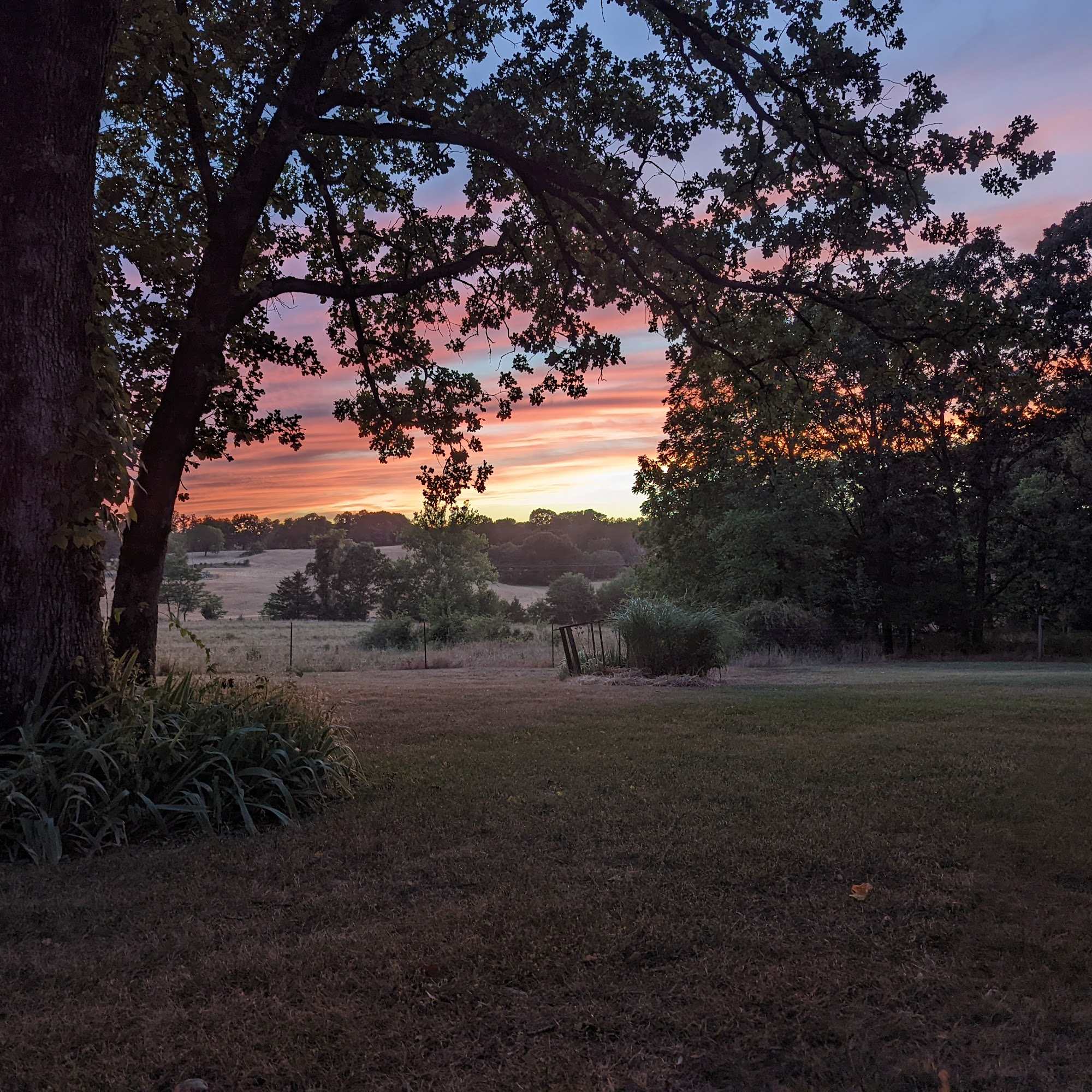 Maggie's Farm Pet Boarding West Plains