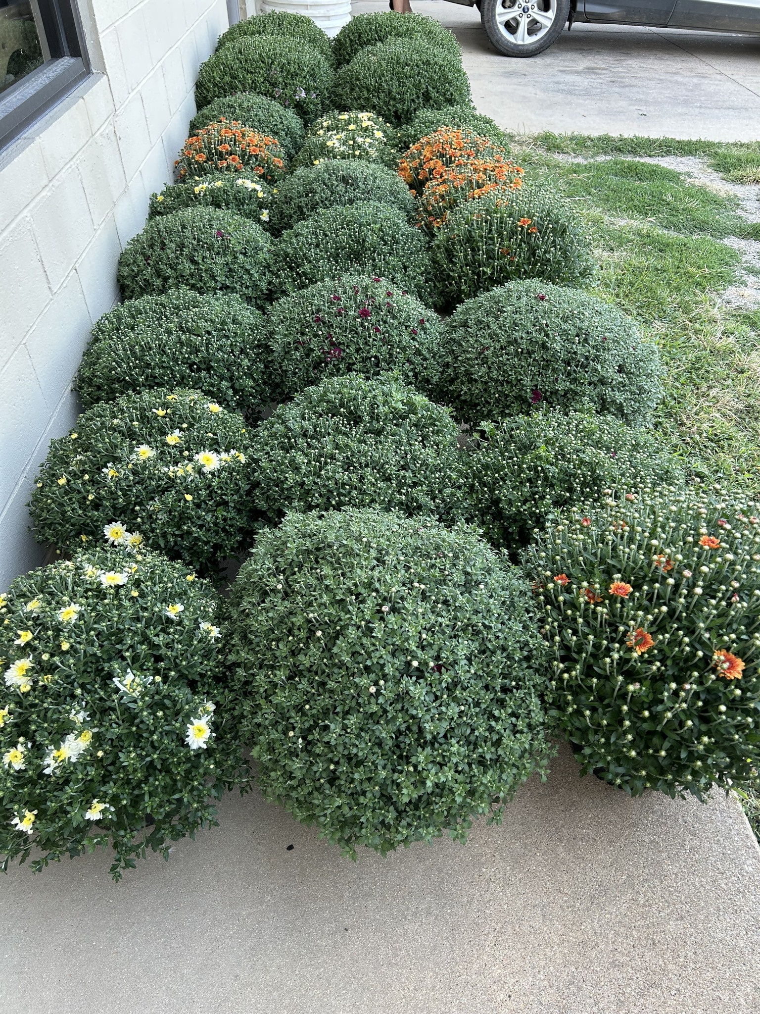 Horn Plumbing Heating & AC 502 Missouri Ave, West Plains Missouri 65775