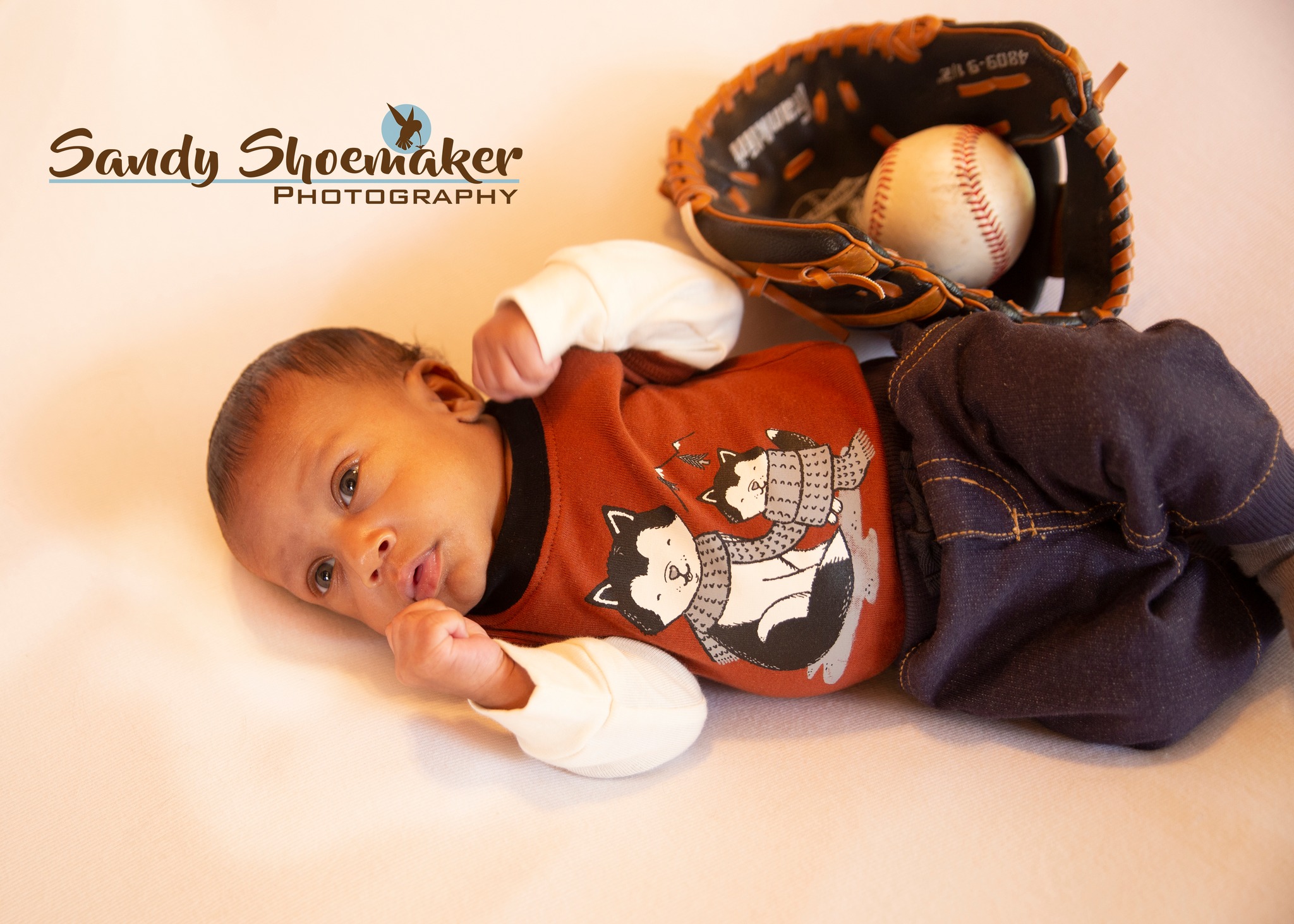 Sandy Shoemaker Photography