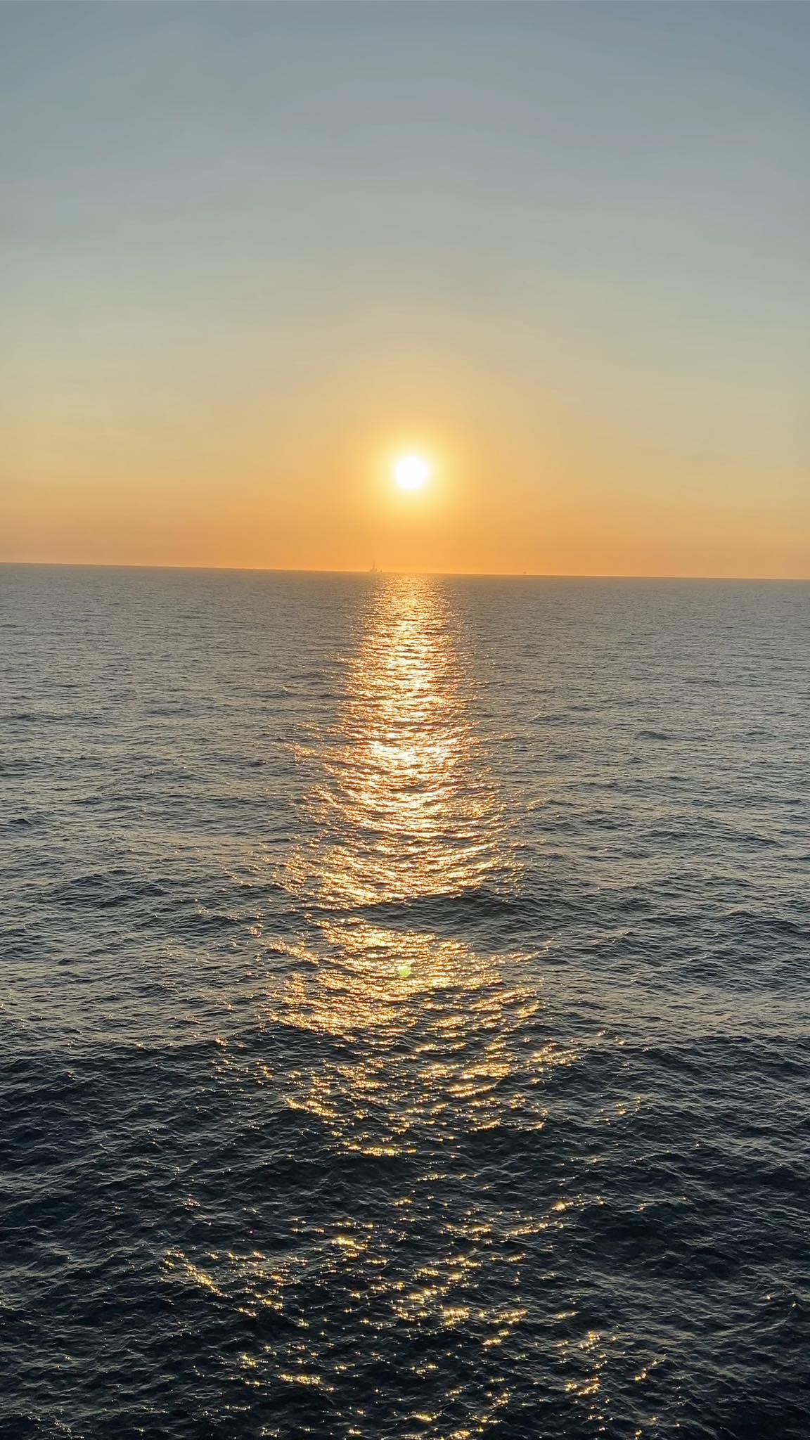 Professional Massage Therapy