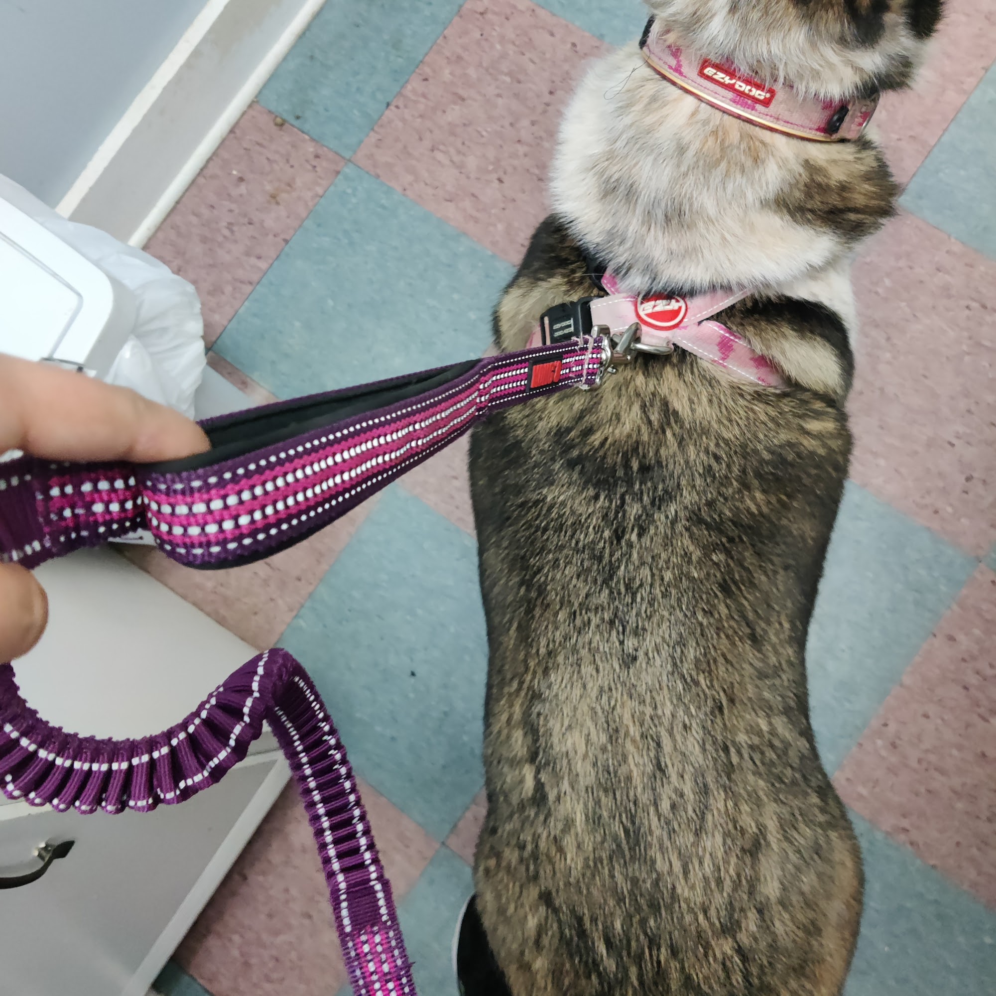 Mid South Veterinary Group Biloxi