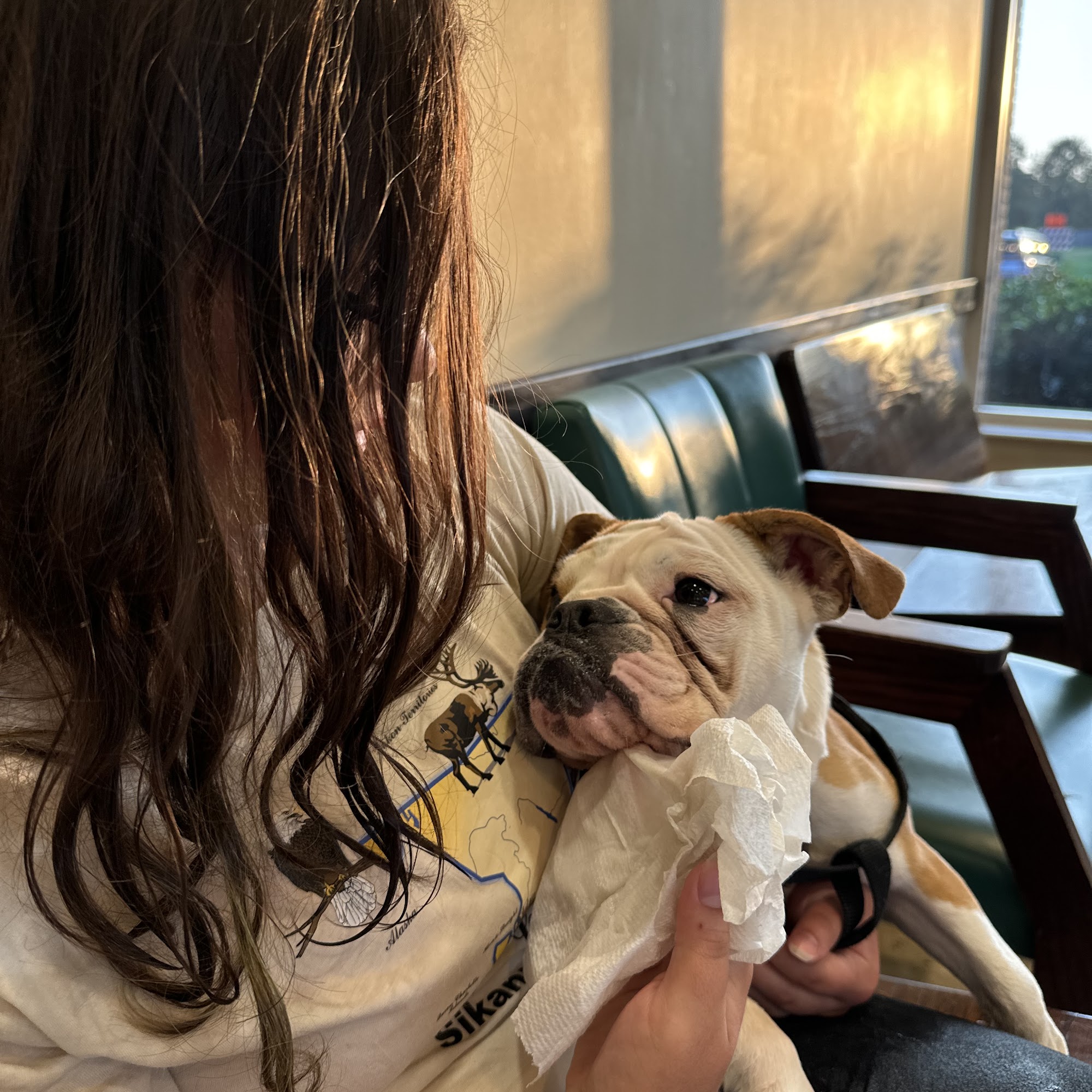 Gulf Coast Veterinary Emergency Hospital Biloxi