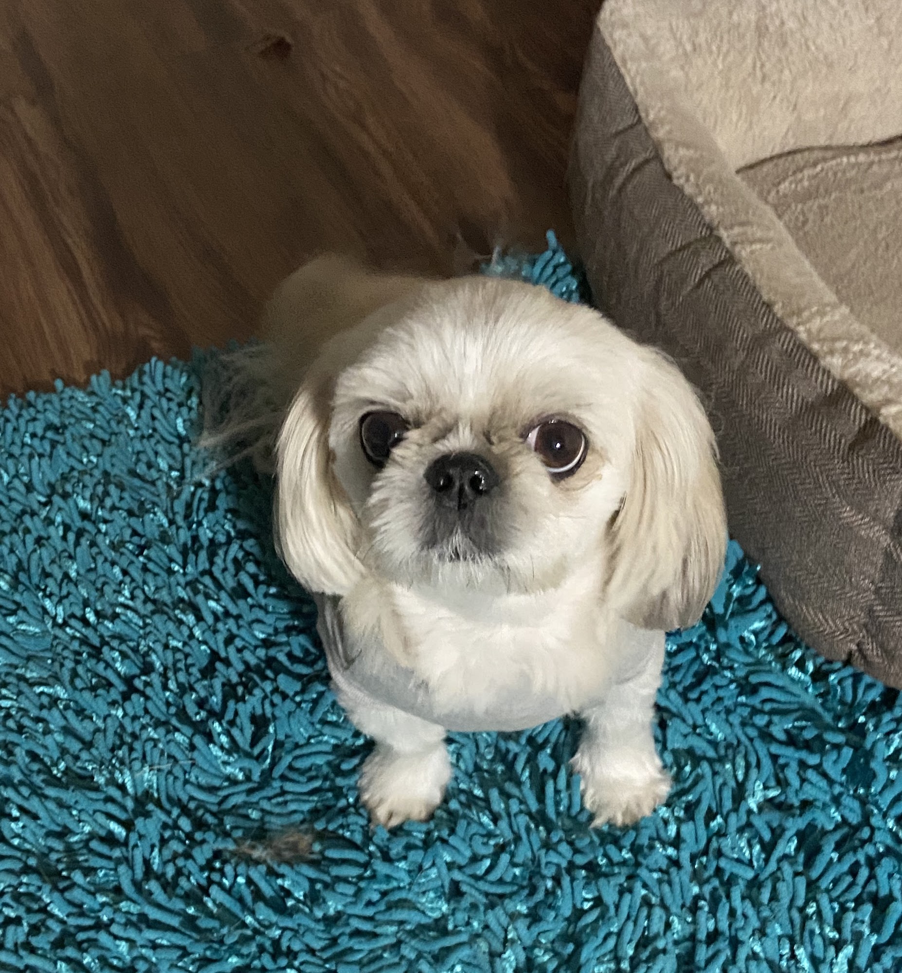 Pride & Groom Biloxi