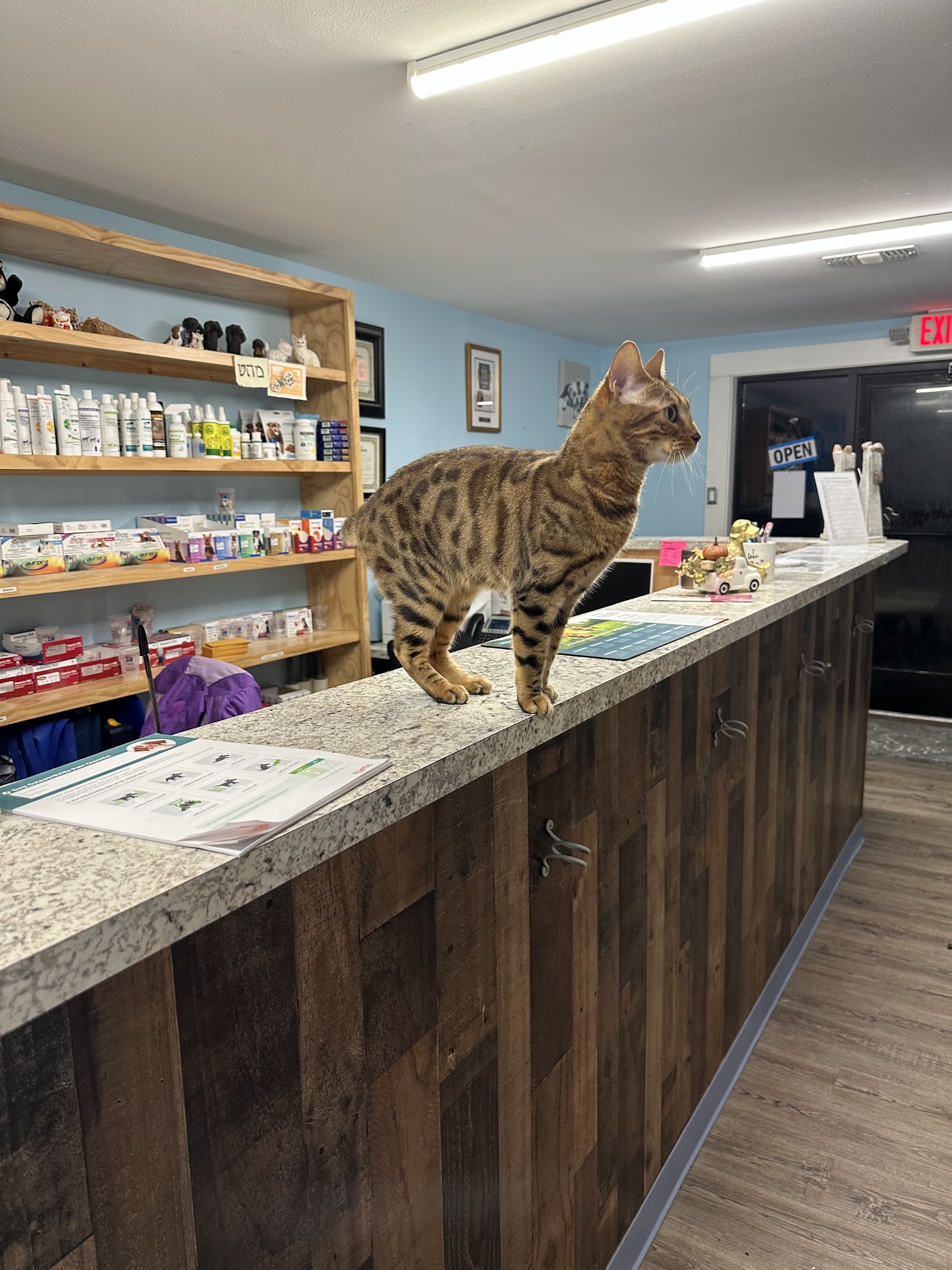 Fur Baby's Veterinary Hospital Biloxi