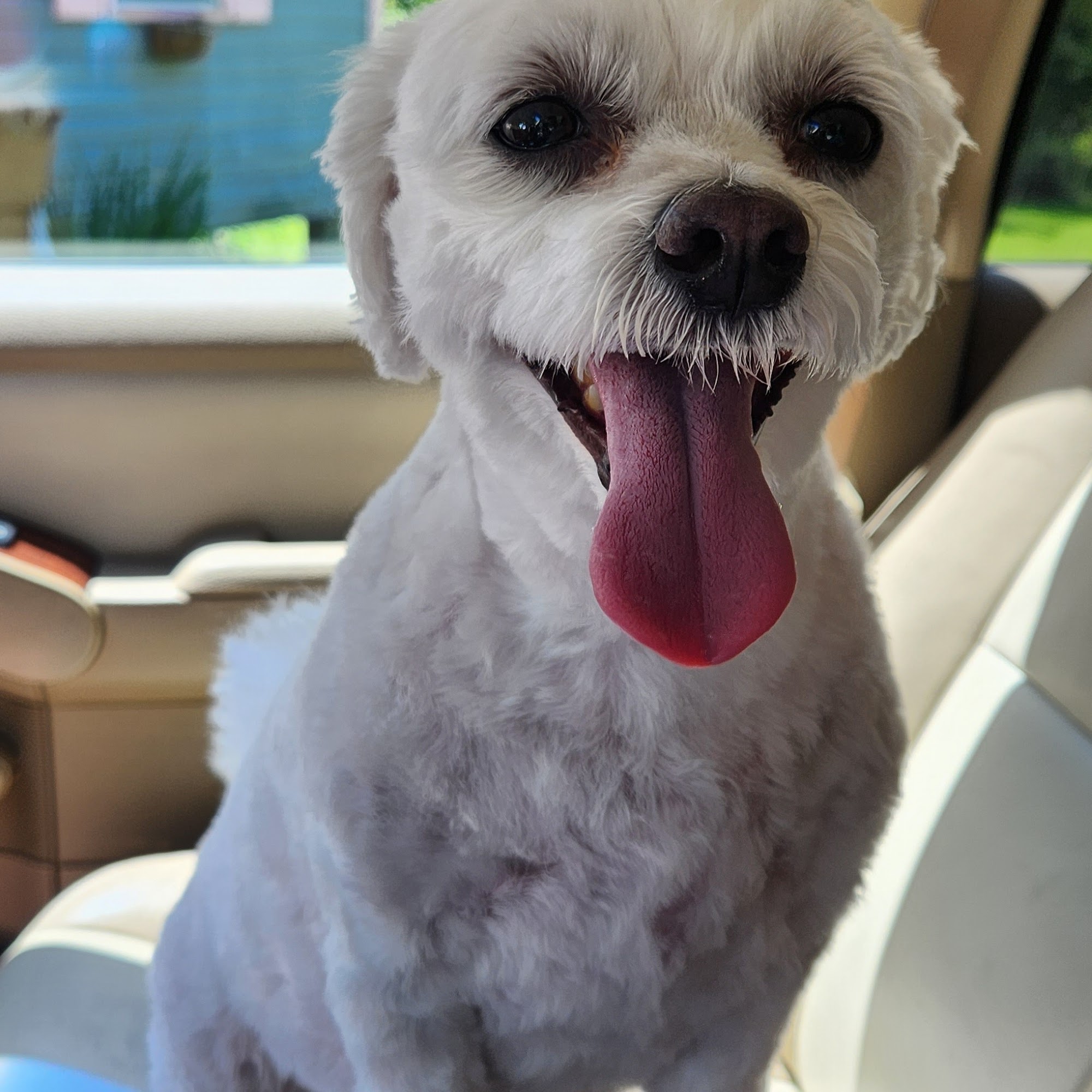 Cassie’s Classy Clips Biloxi