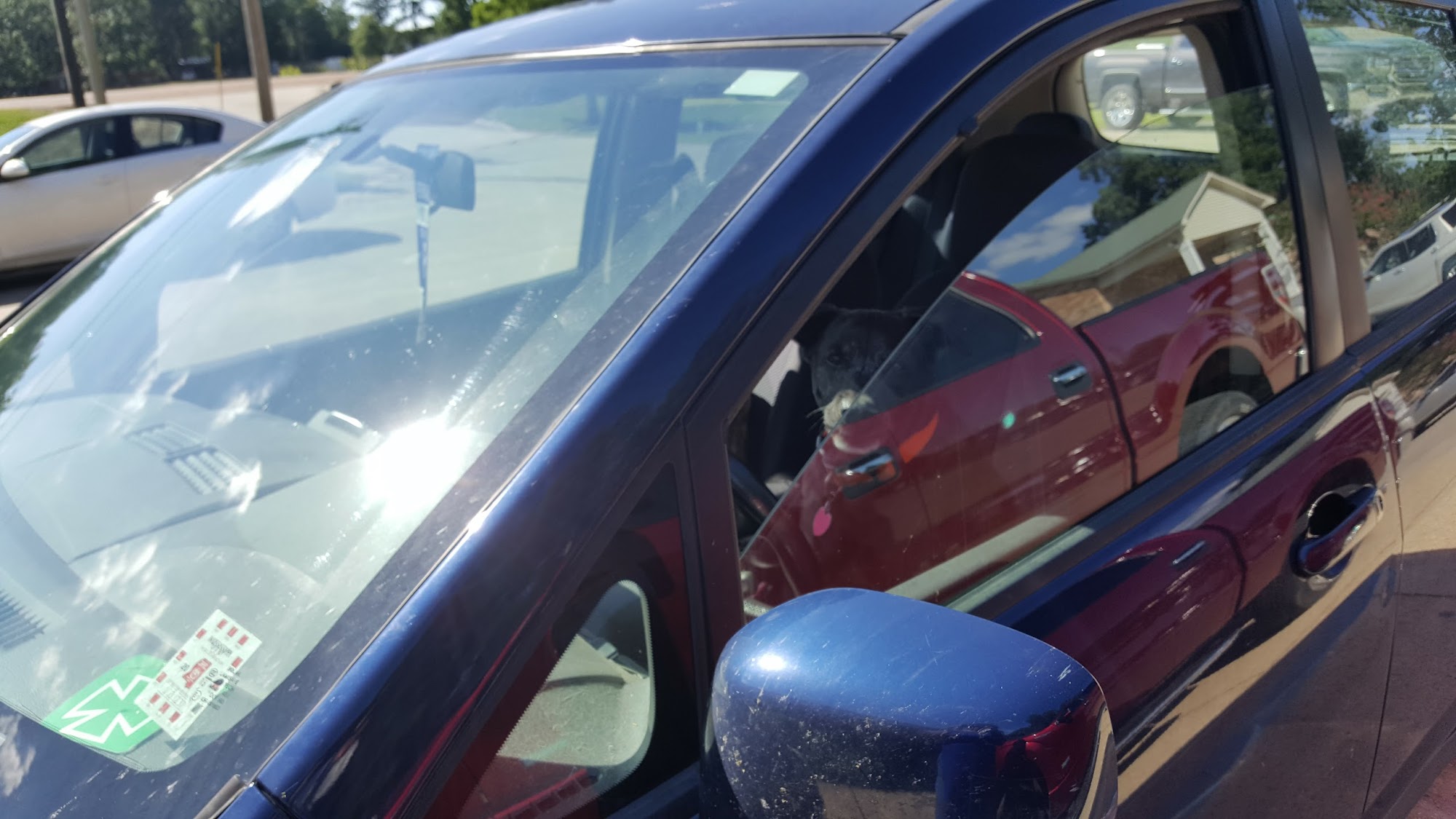 Brookhaven Animal Hospital Brookhaven