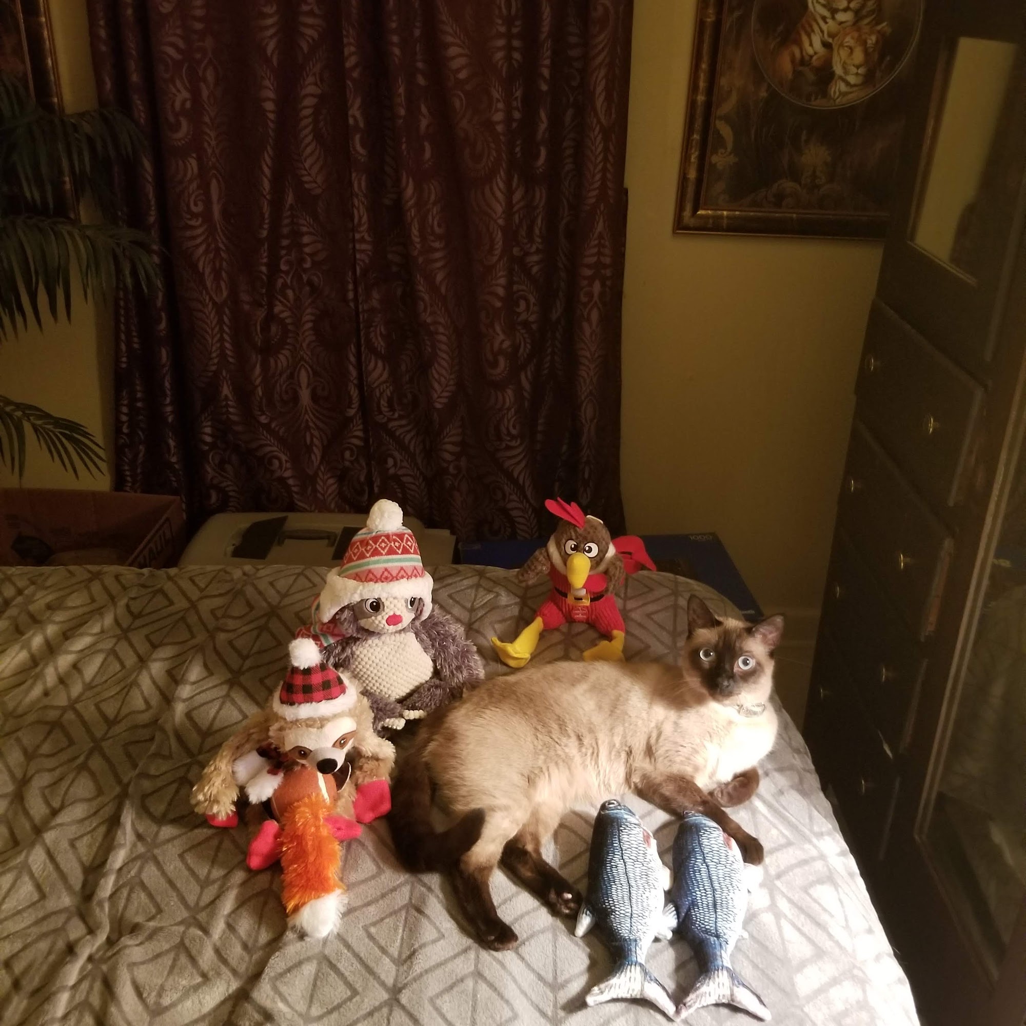 Animal Health Center Brookhaven