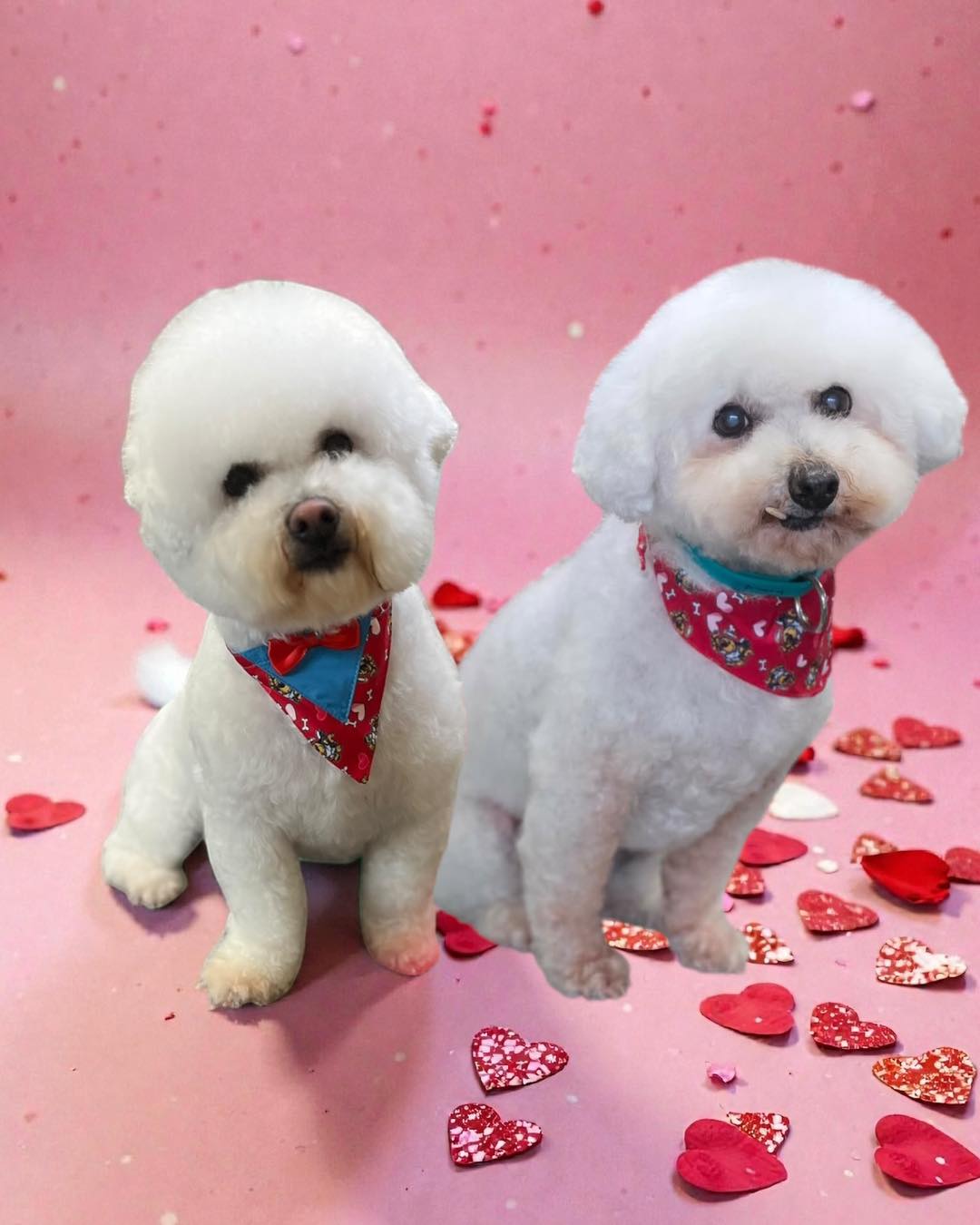 Barkhaven LLC Brookhaven