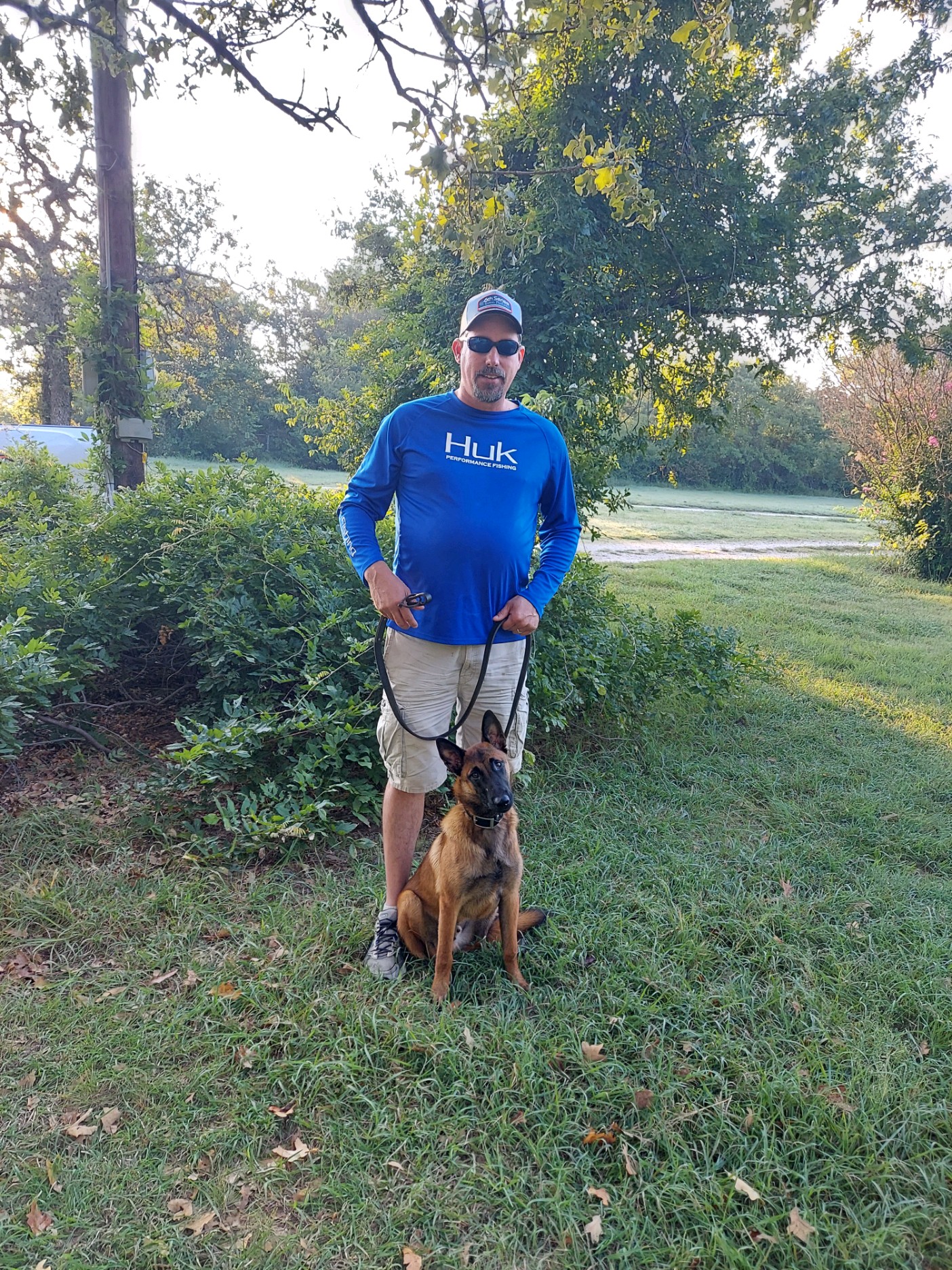 Collier Kennels Brookhaven