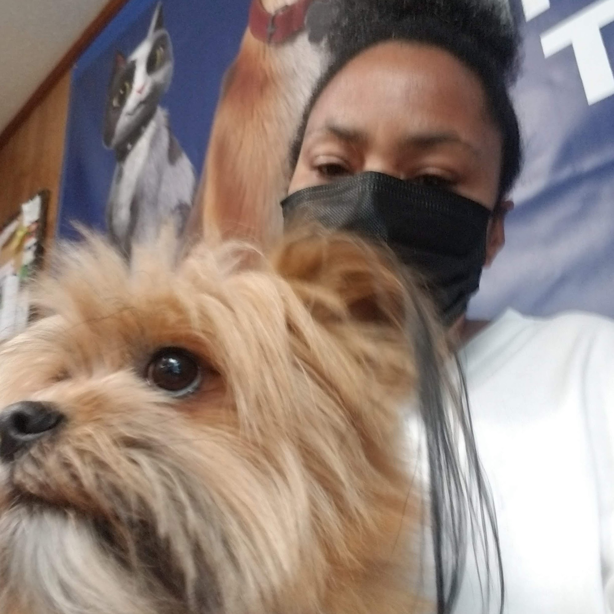 Central Mississippi Animal Clinic Carthage