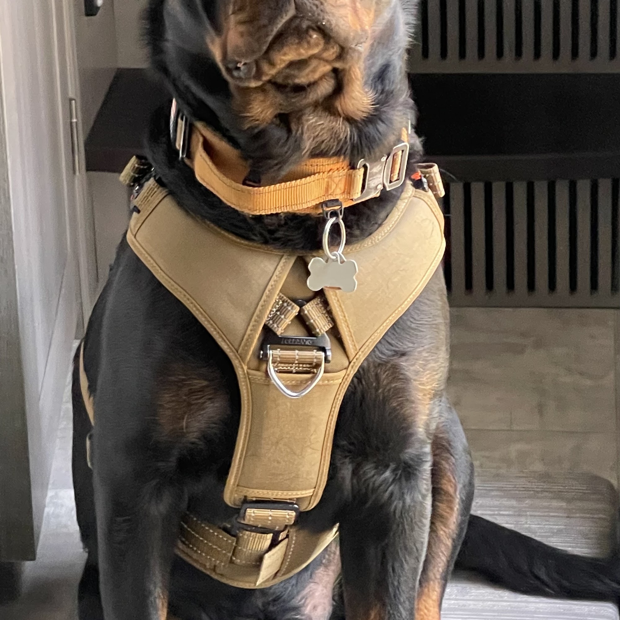 Animal Health Services Columbus