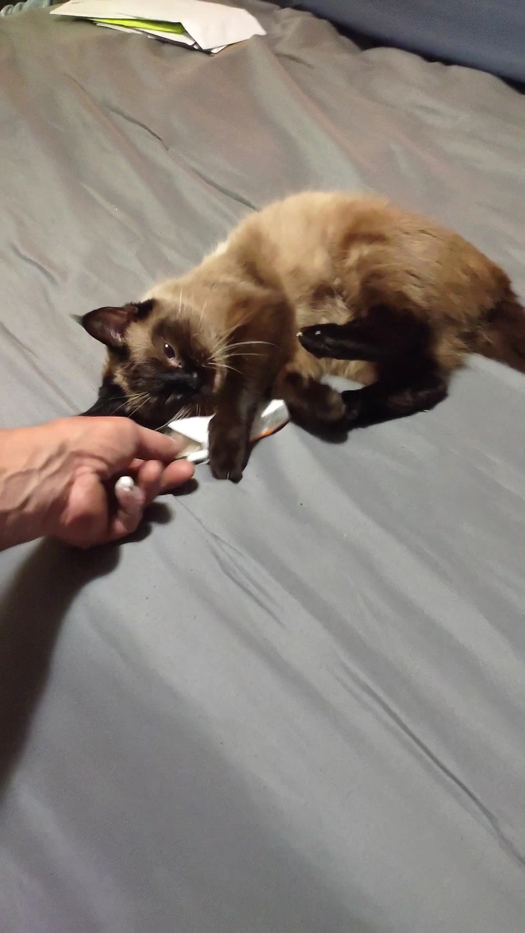 Columbus-Lowndes Humane Society Columbus