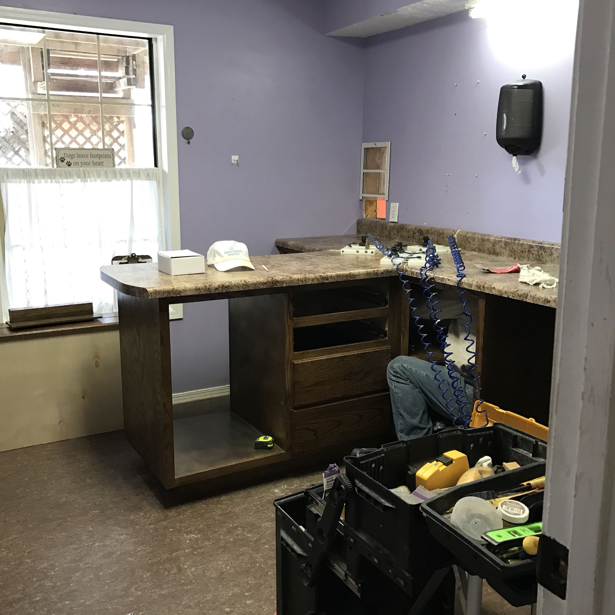 Florence Animal Clinic Florence