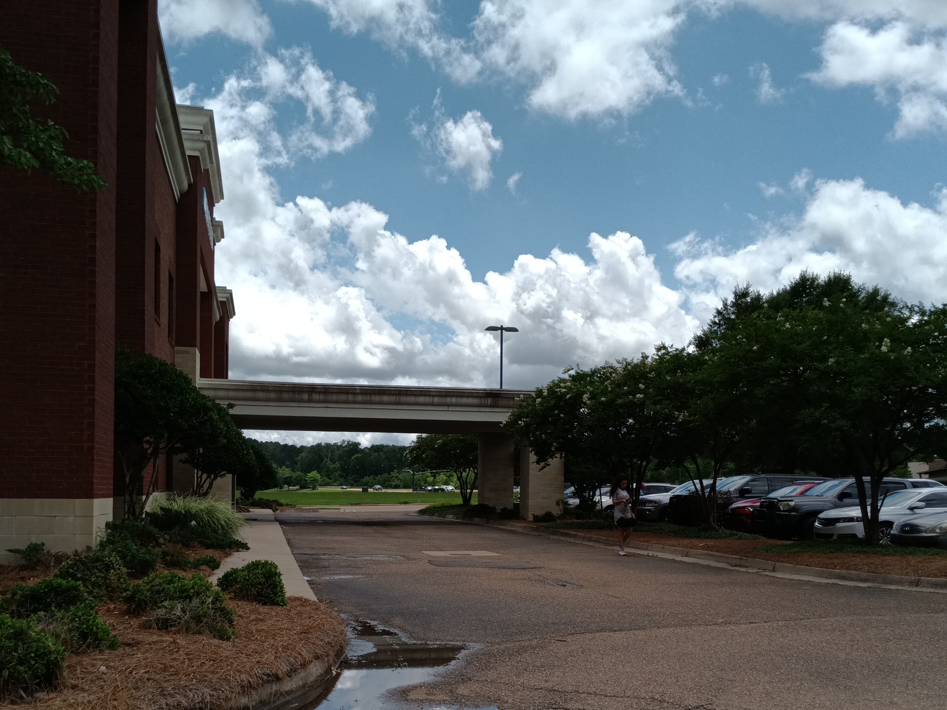 Baptist Medical Group - Dogwood Primary Care