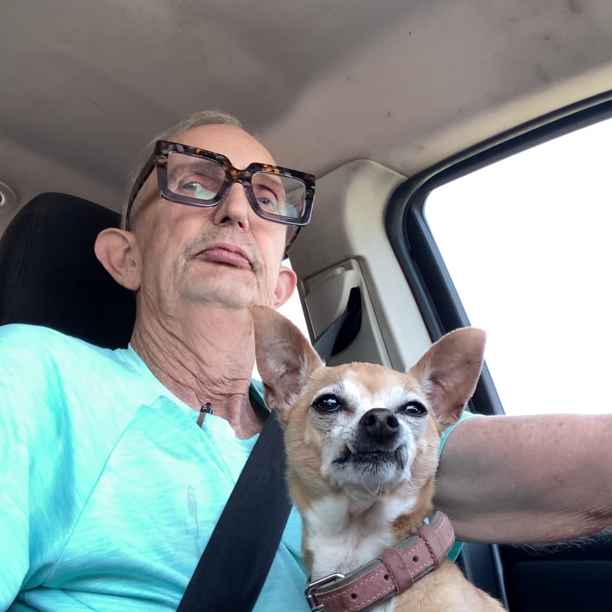 Town & Country Veterinary Hospital Gautier