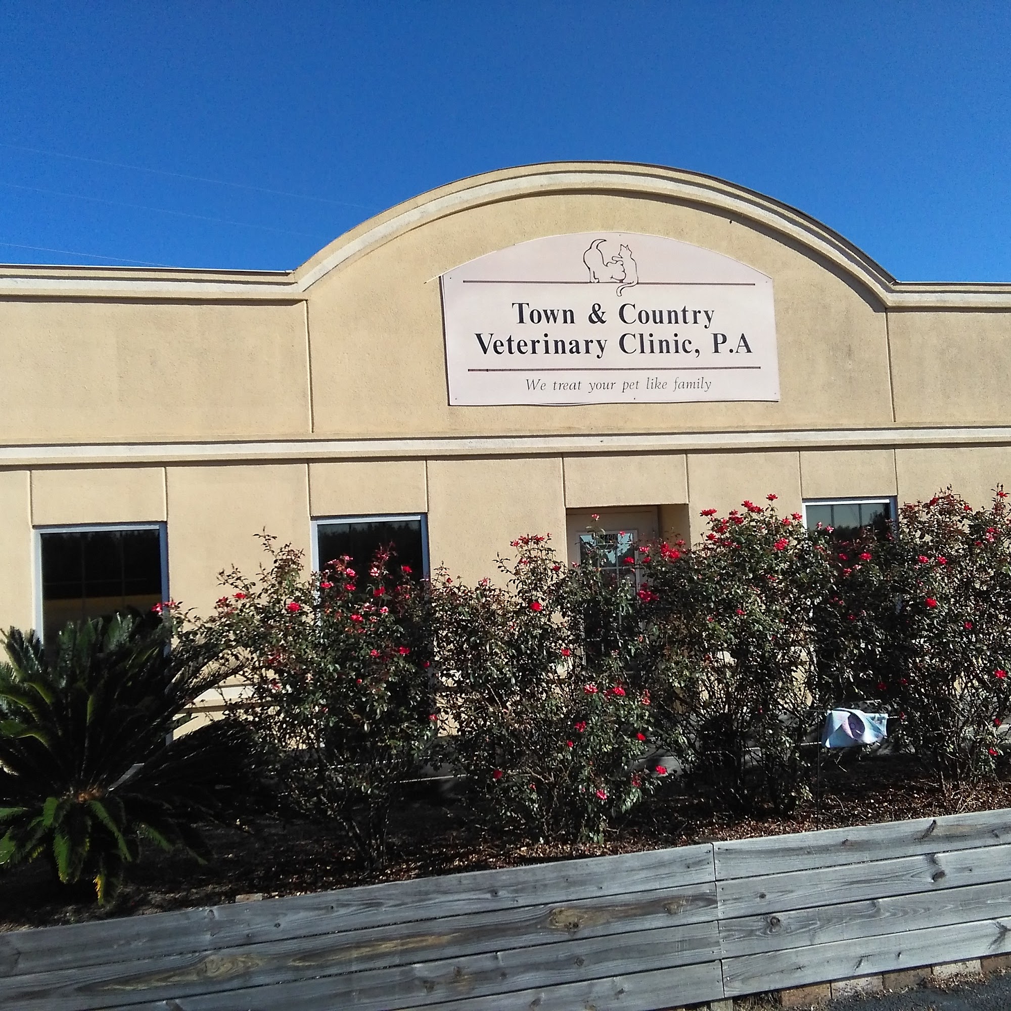 Town & Country Veterinary Clinic Gulfport