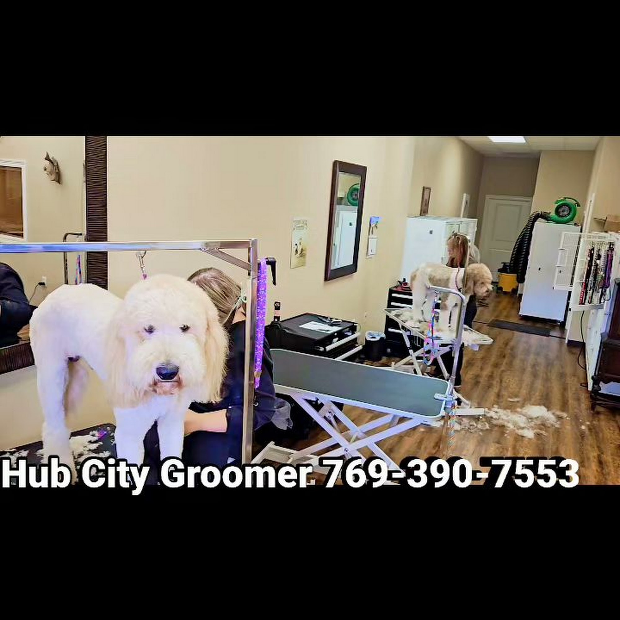 Hub City Grooming Hattiesburg