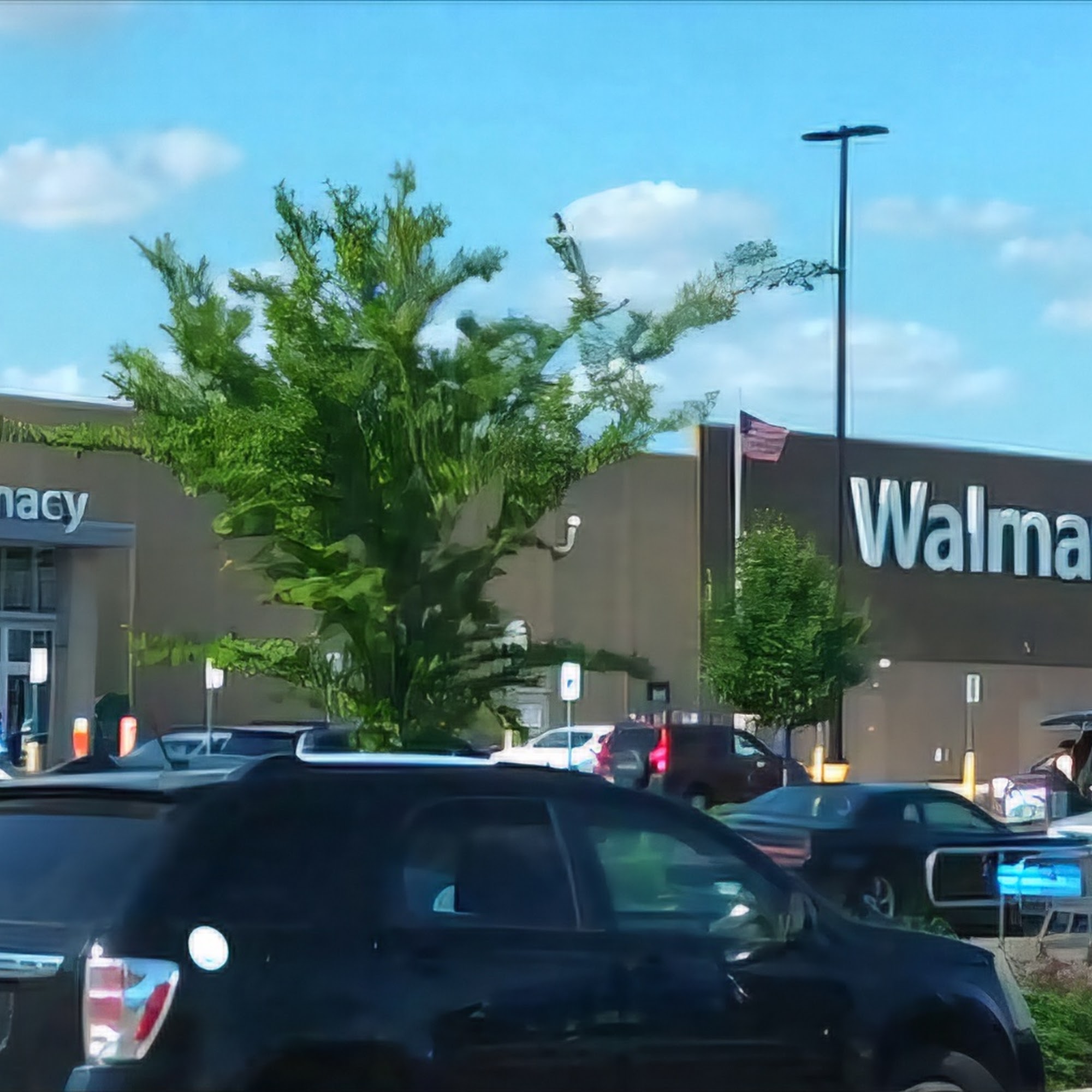 Walmart Bakery Horn Lake