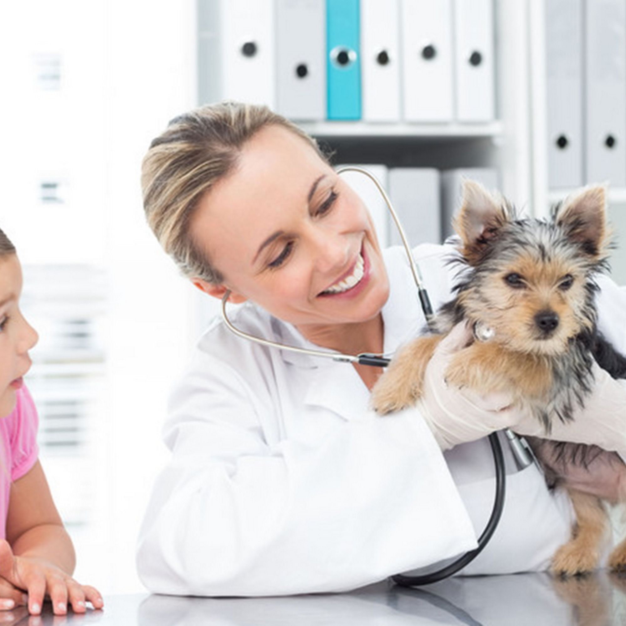 Animal Medical Center Iuka