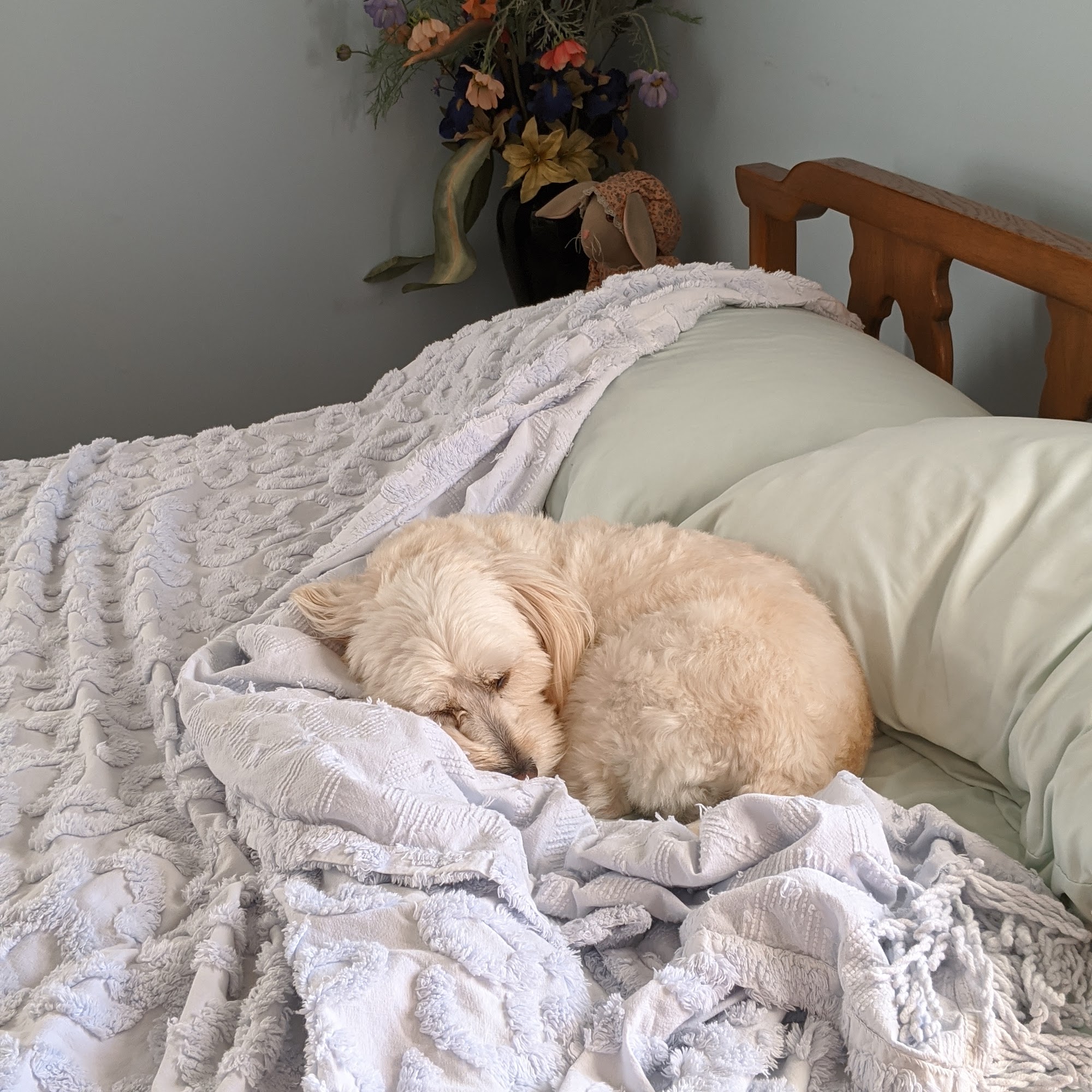 Jackson Animal Clinic Jackson