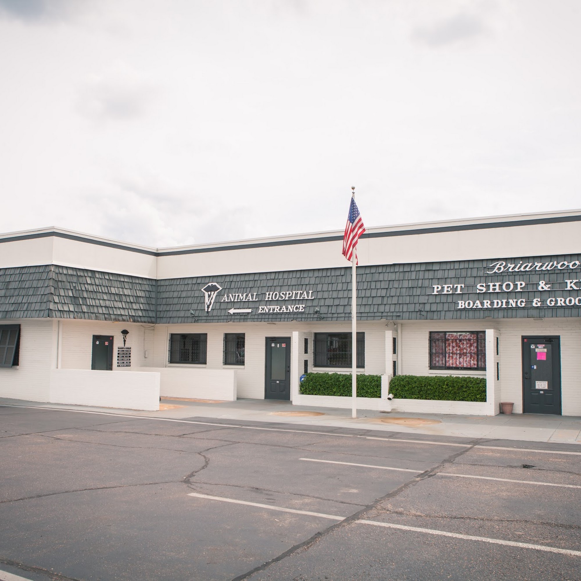 Briarwood Animal Hospital Jackson