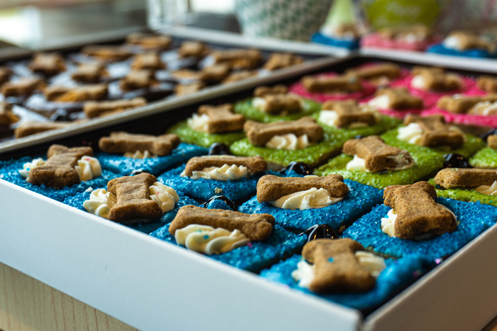 Chipper and Coco Jackson