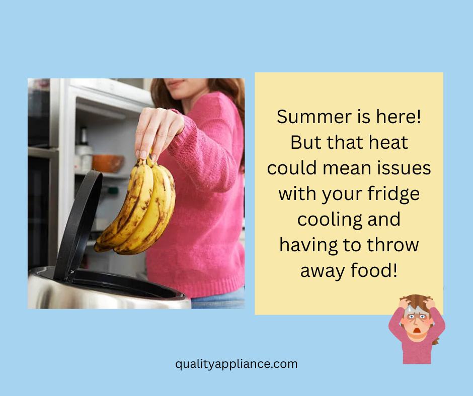 Quality Appliance Repair