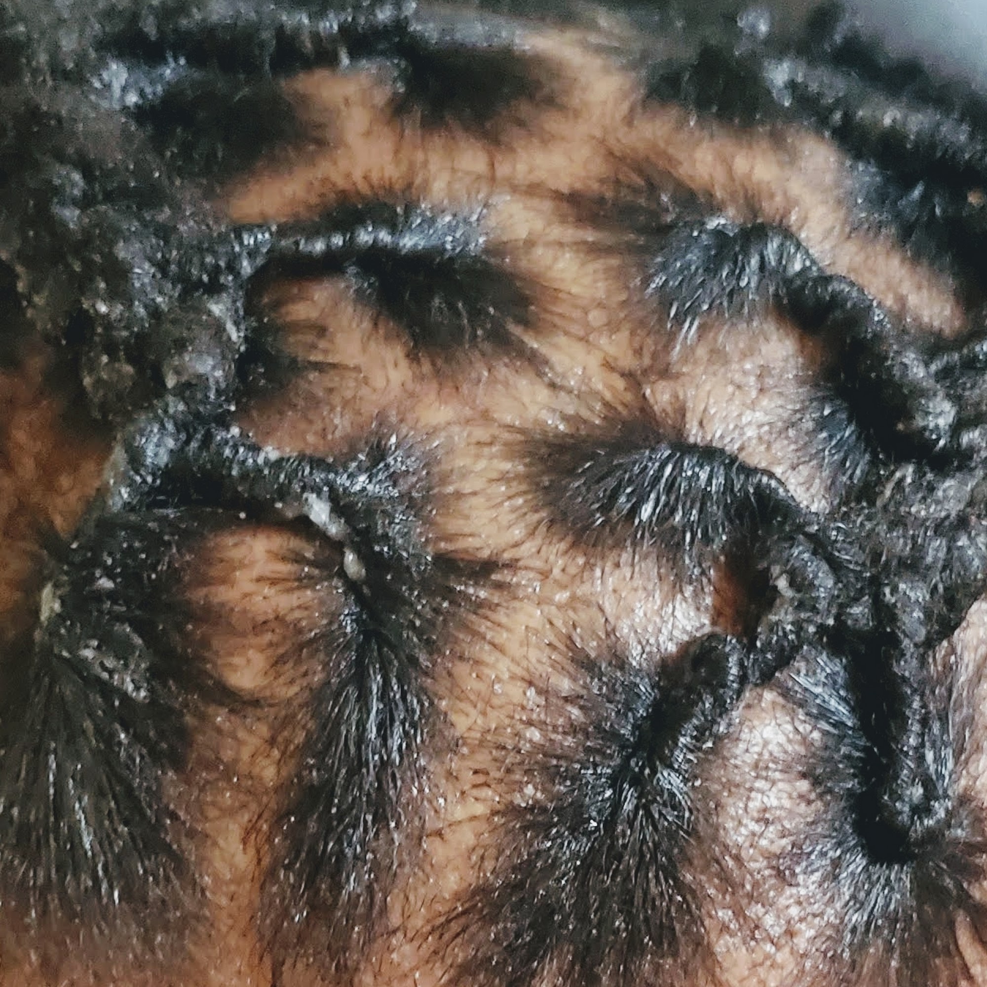 Dreads are here to stay, LLC