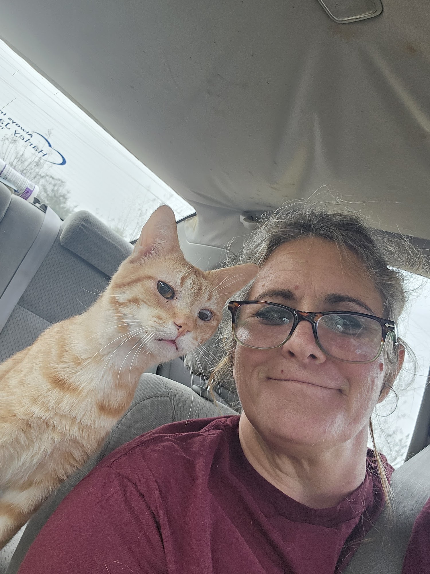 North Jones Animal Hospital Laurel