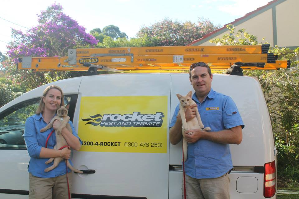 Rocket Pest Control Inc