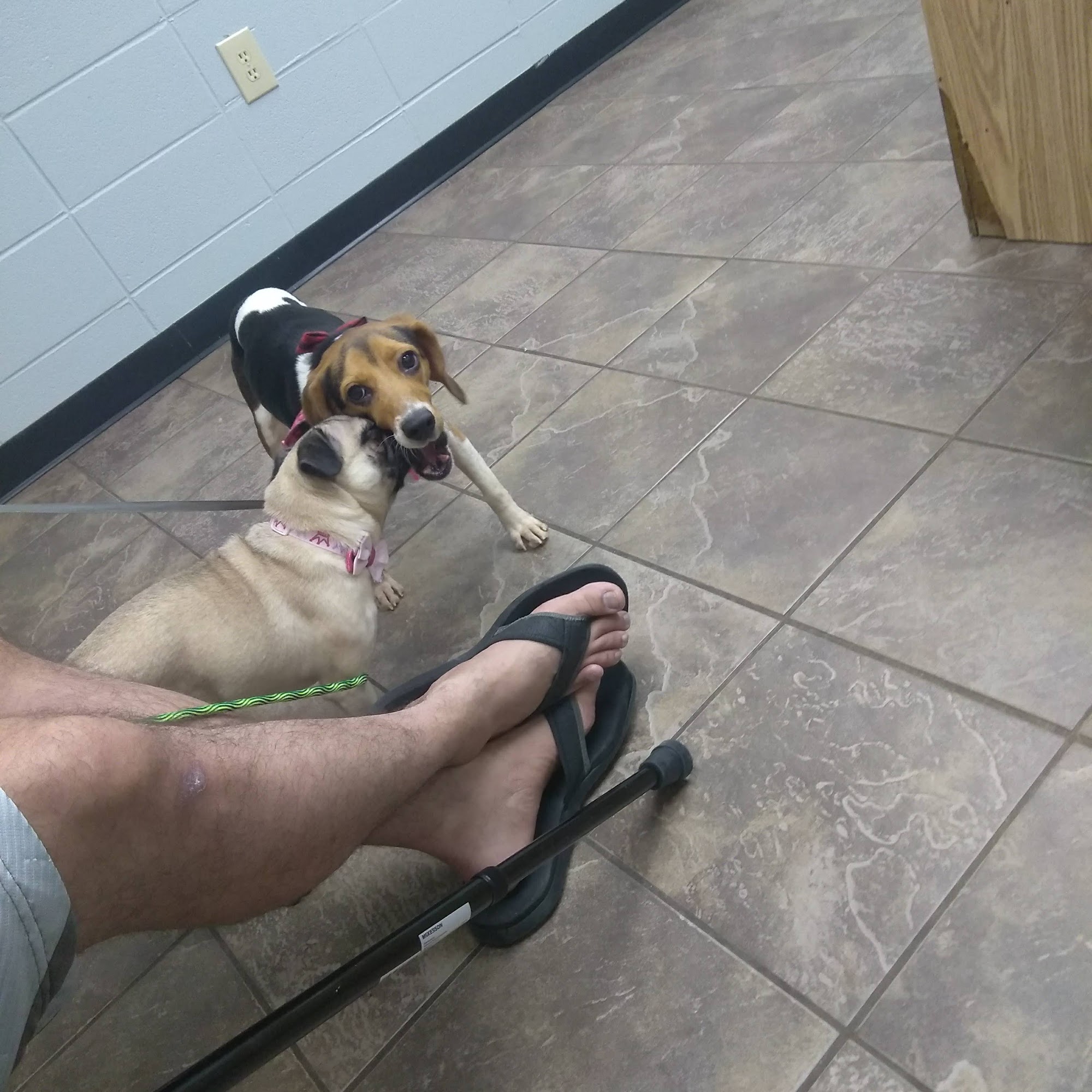 George County Veterinary Clinic Lucedale