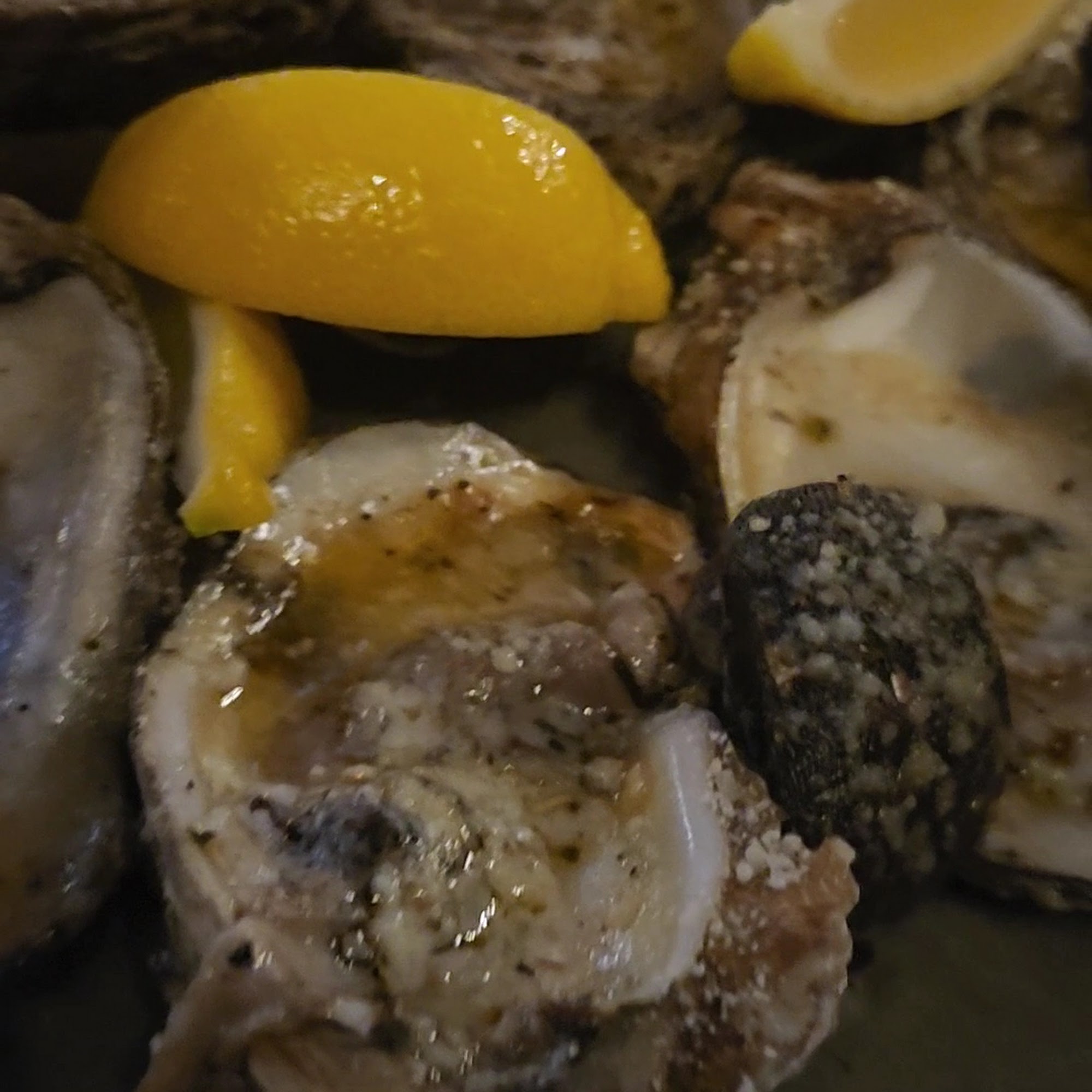 Half Shell Oyster House Madison Madison