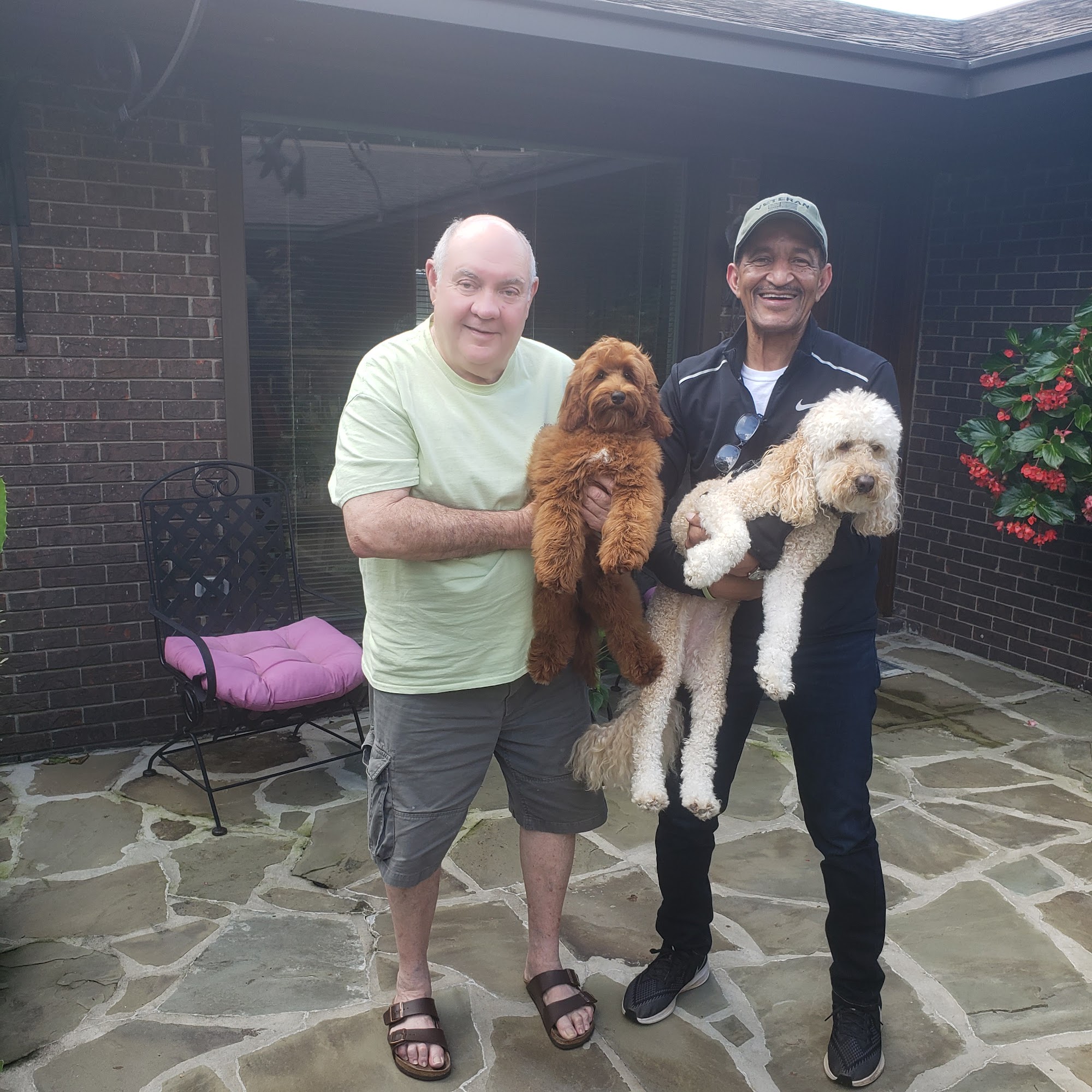 Barksdale Labradoodles Magee