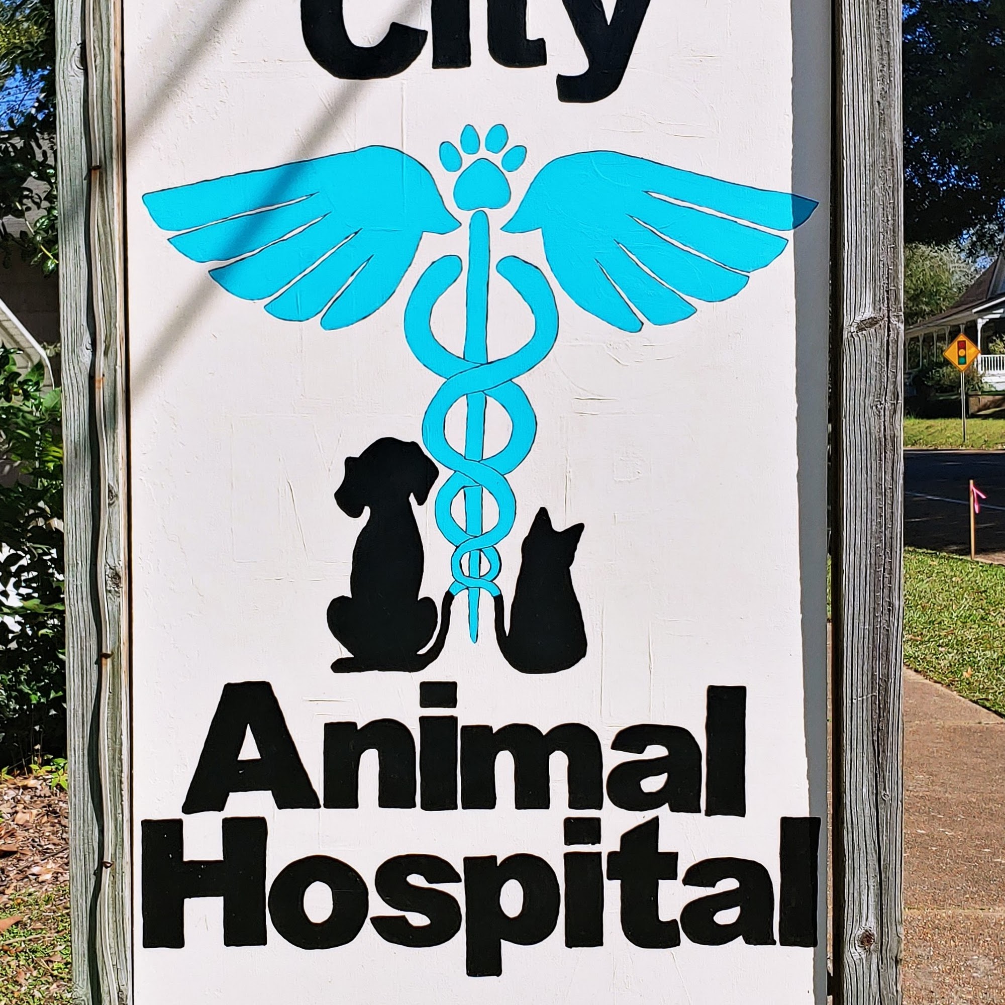 Camellia City Animal Hospital Mccomb