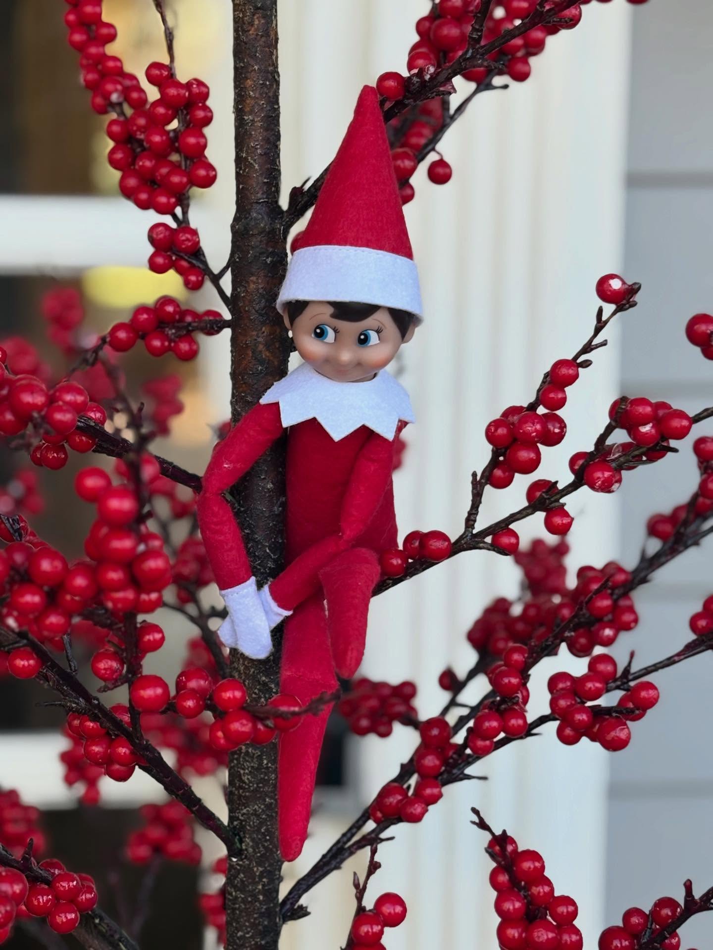 Harvest Grill Meridian