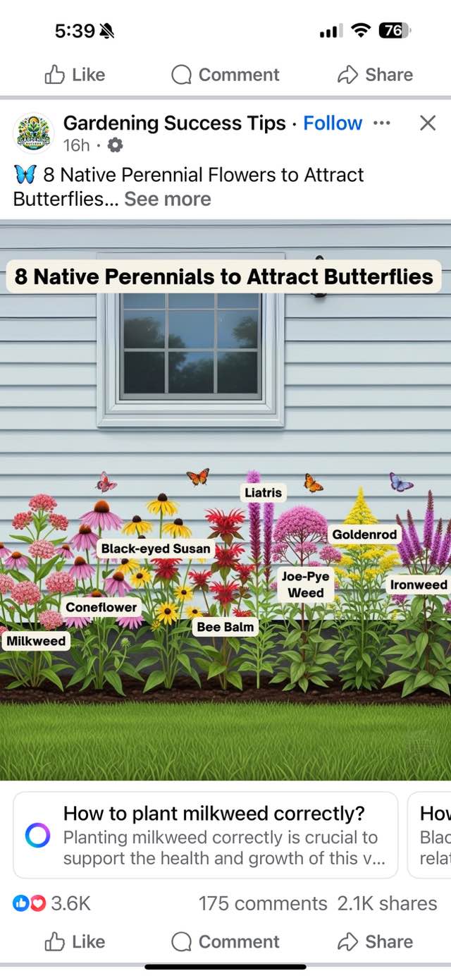 AAA Denison's Gift & Flower 413 E Broad St, Monticello Mississippi 39654