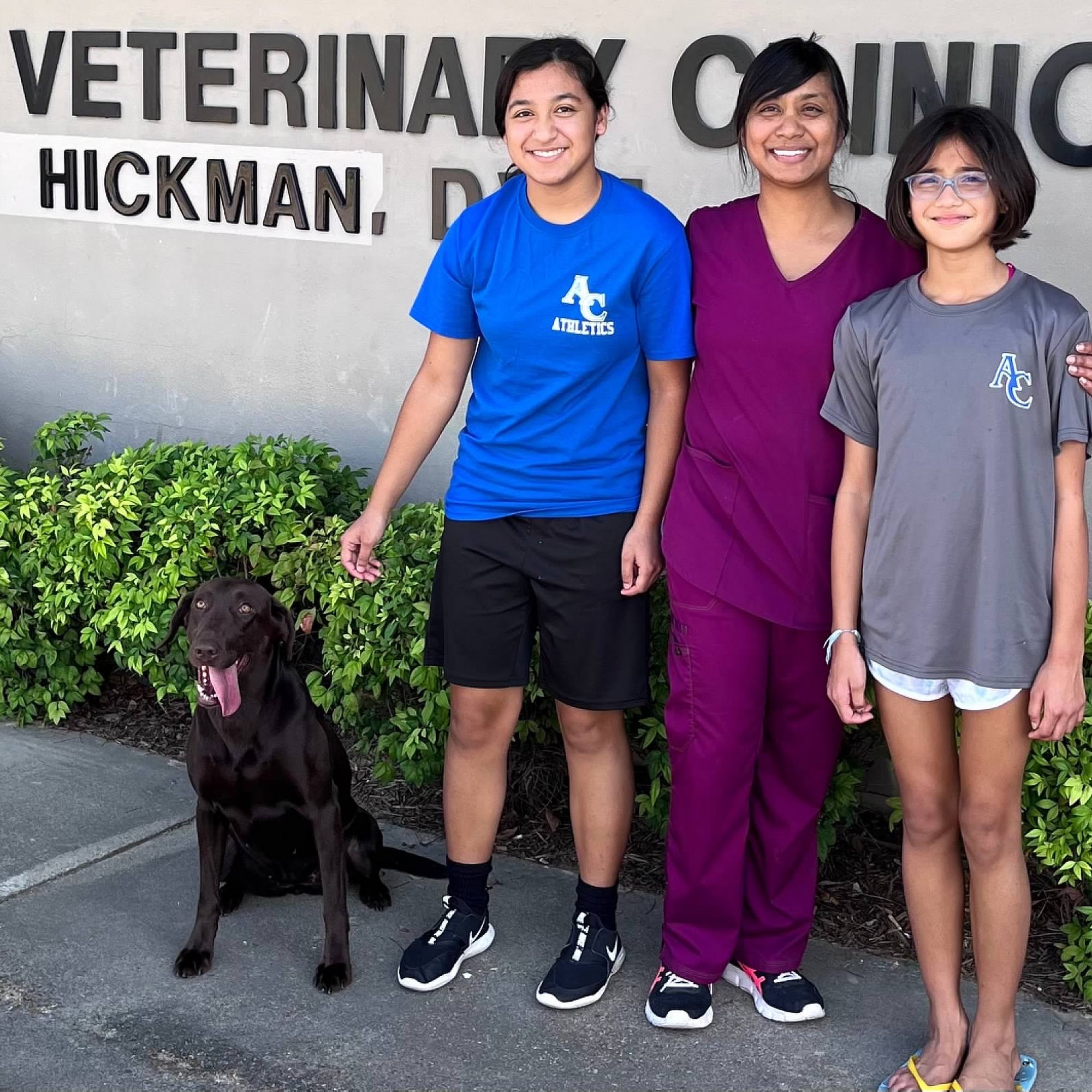 Natchez Veterinary Clinic Natchez